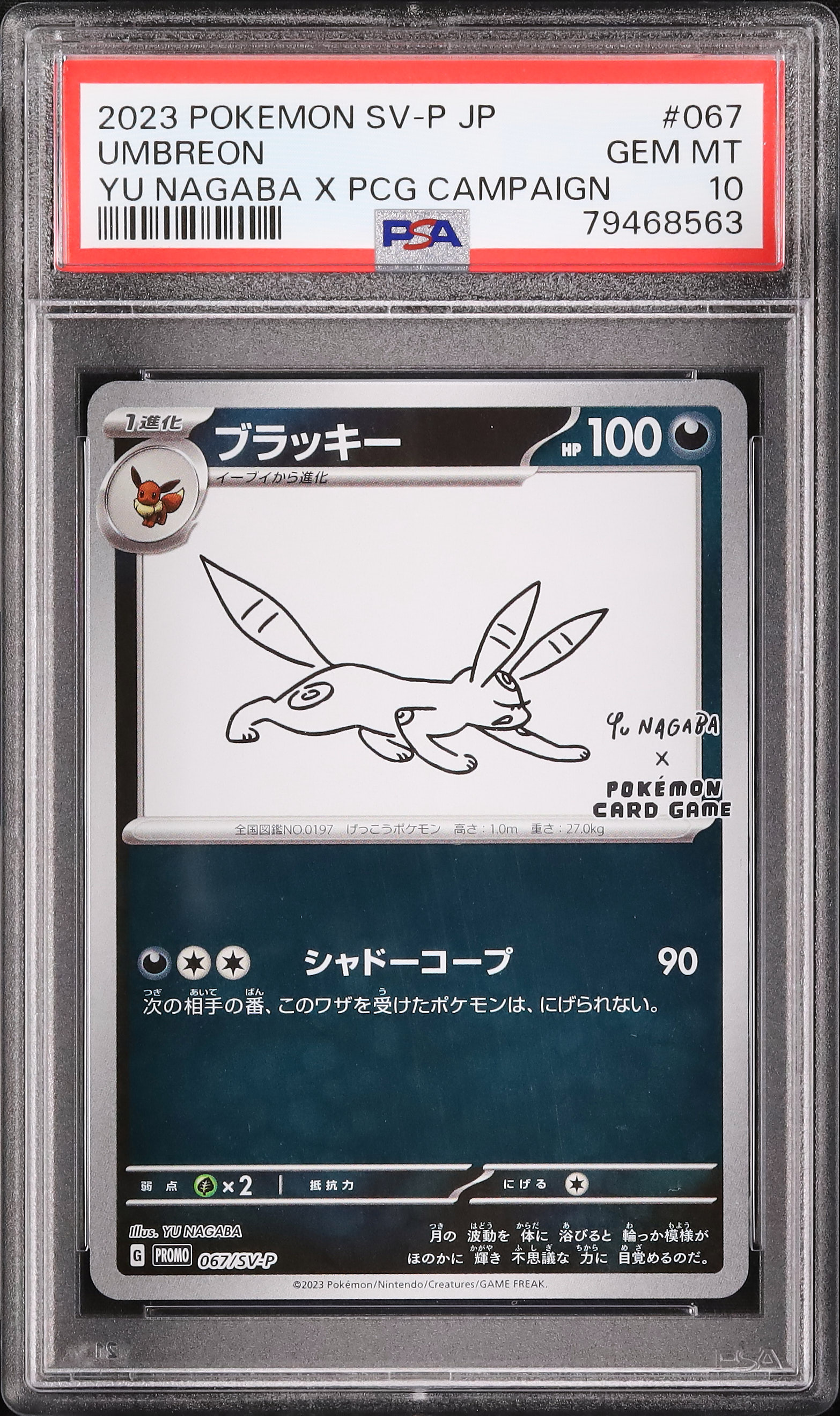 2023 ブラッキー PSA 10 - カルドバ