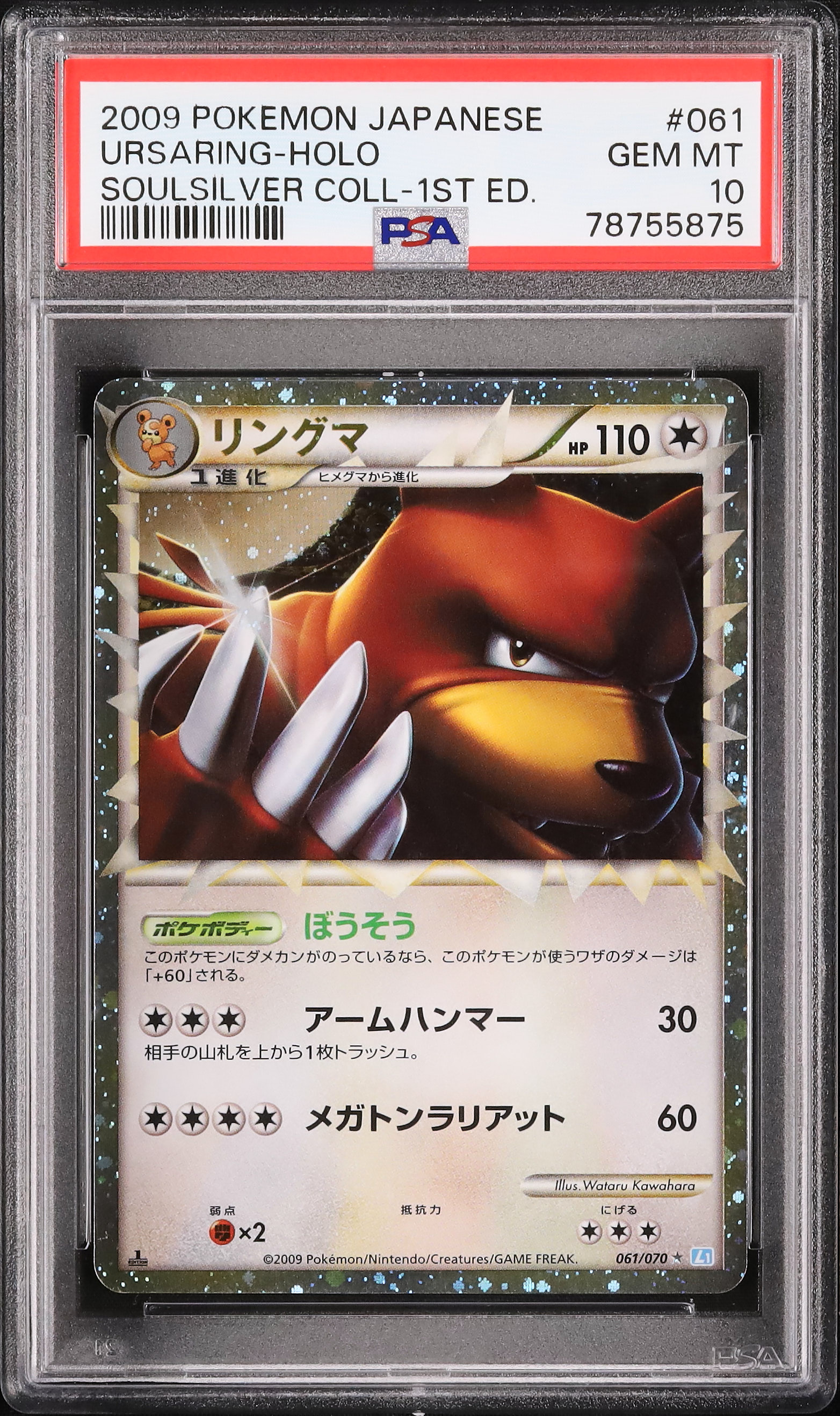 リングマ　2009 リングマ2009