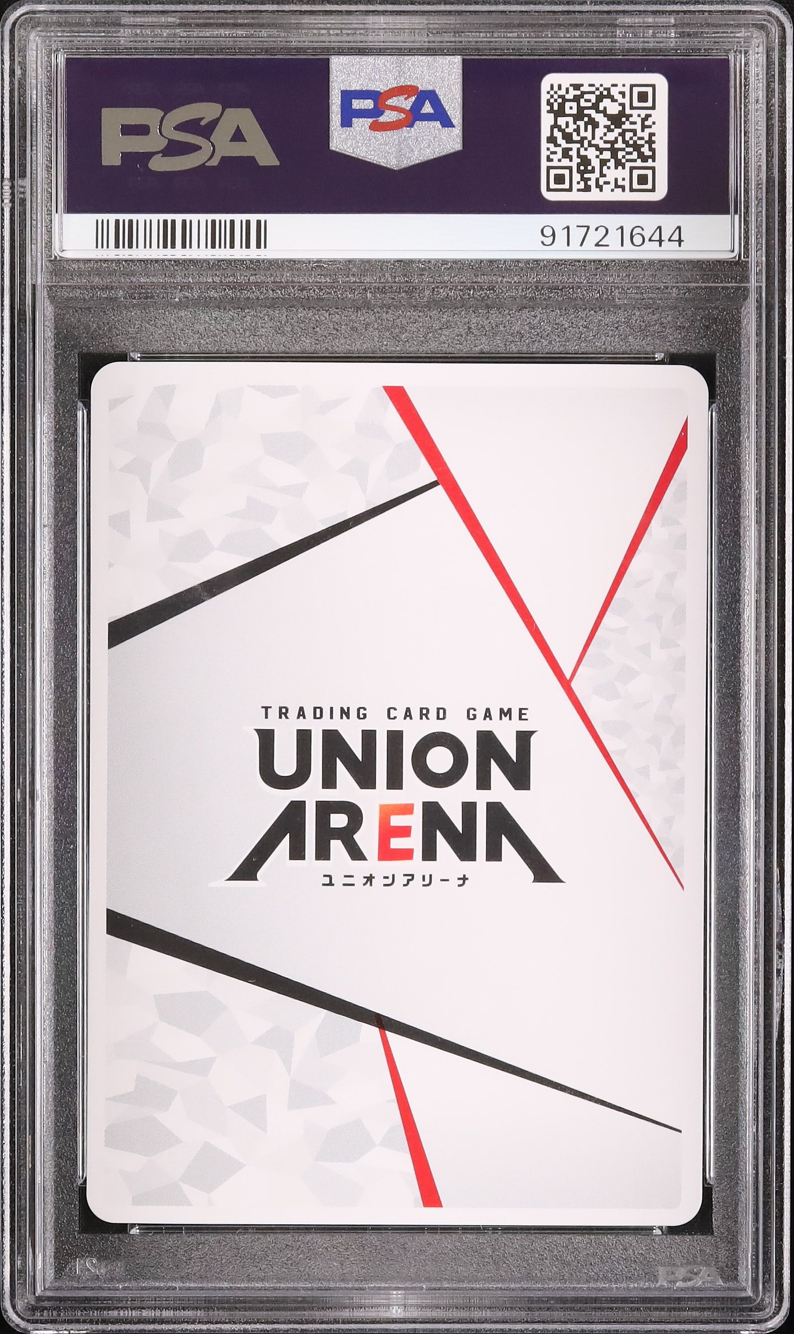 【在庫1枚】アクションポイント AP 2024 チャンピオンシップ PSA10 在庫1枚】アクションポイント AP 2024 チャンピオンシップ PSA10