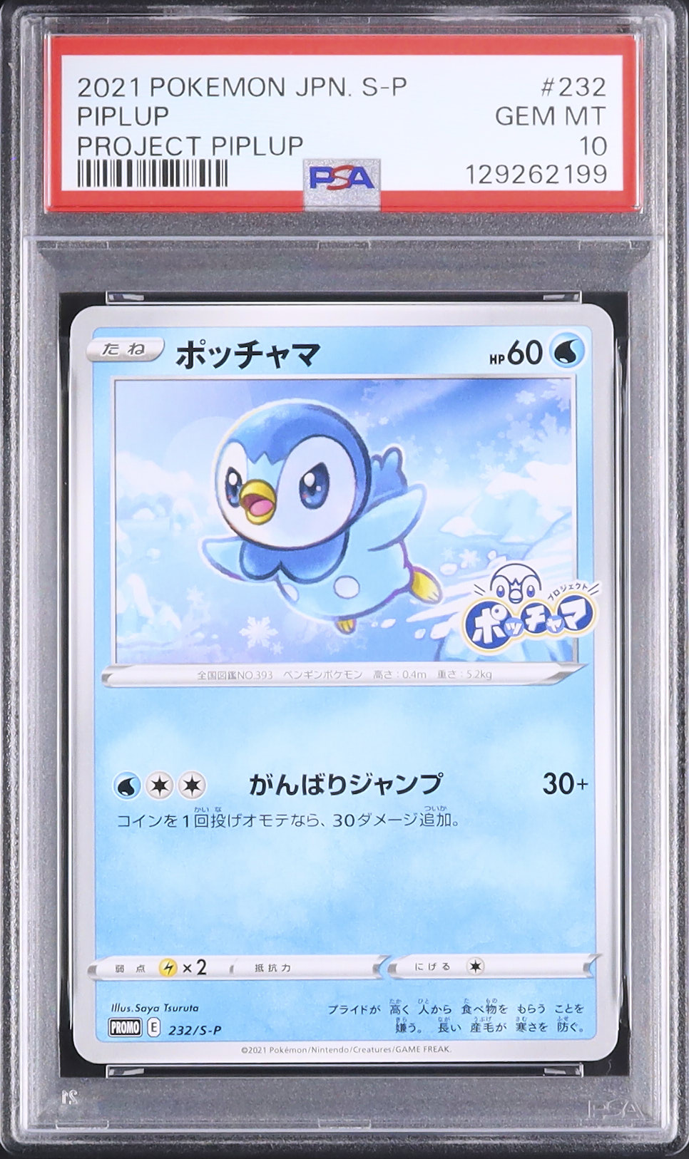 2021 ポケモンカード ポッチャマ S-P 2021 ポッチャマ PSA 10 - カルドバ