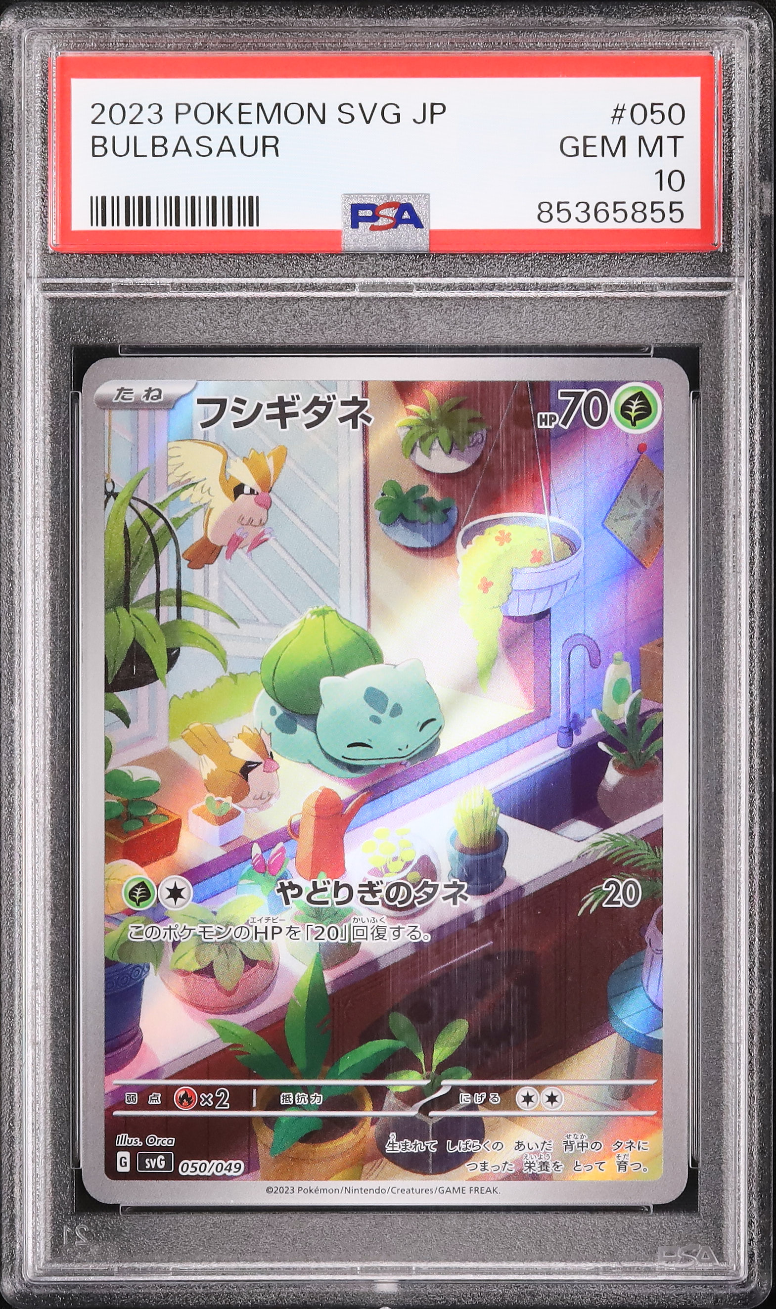 2023 フシギダネ PSA 10 AR仕様 - カルドバ