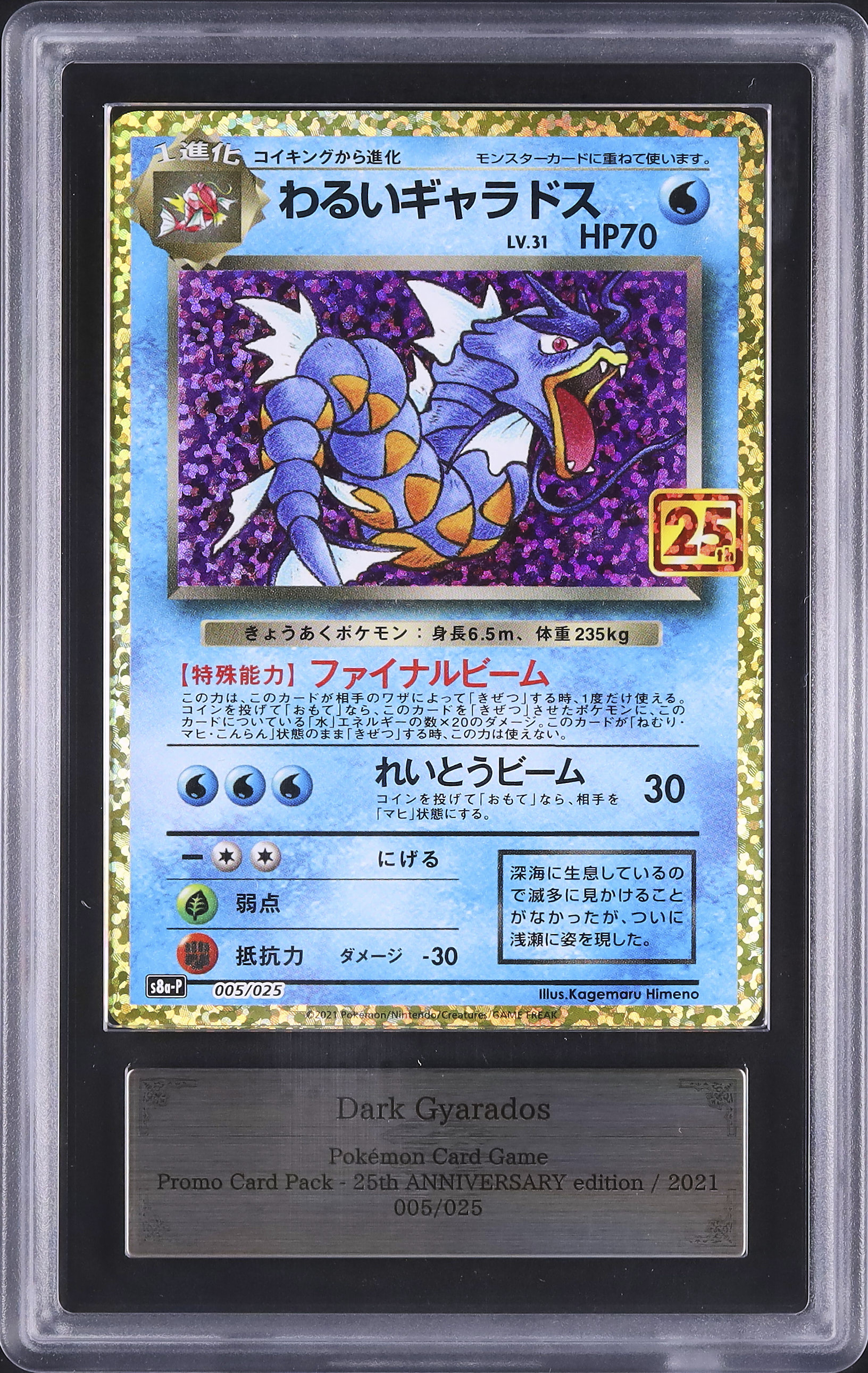 y*h様 ポケモンカード ARS10 わるいギャラドス 25周年 プロモ ars 2021 わるいギャラドス ARS 10 ホロ - カルドバ