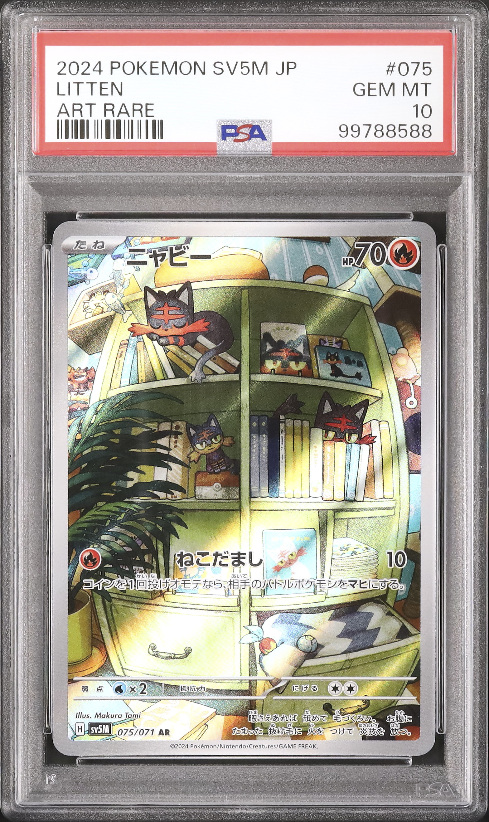 2024 ニャビー PSA 10 - カルドバ