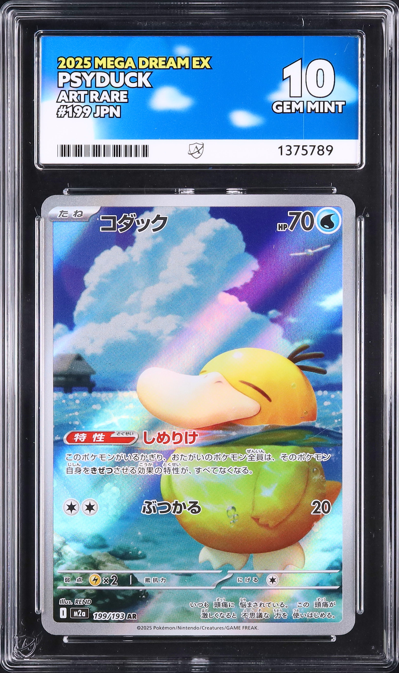 a*迎様 コダック ar 2025 コダック Ace 10 - カルドバ