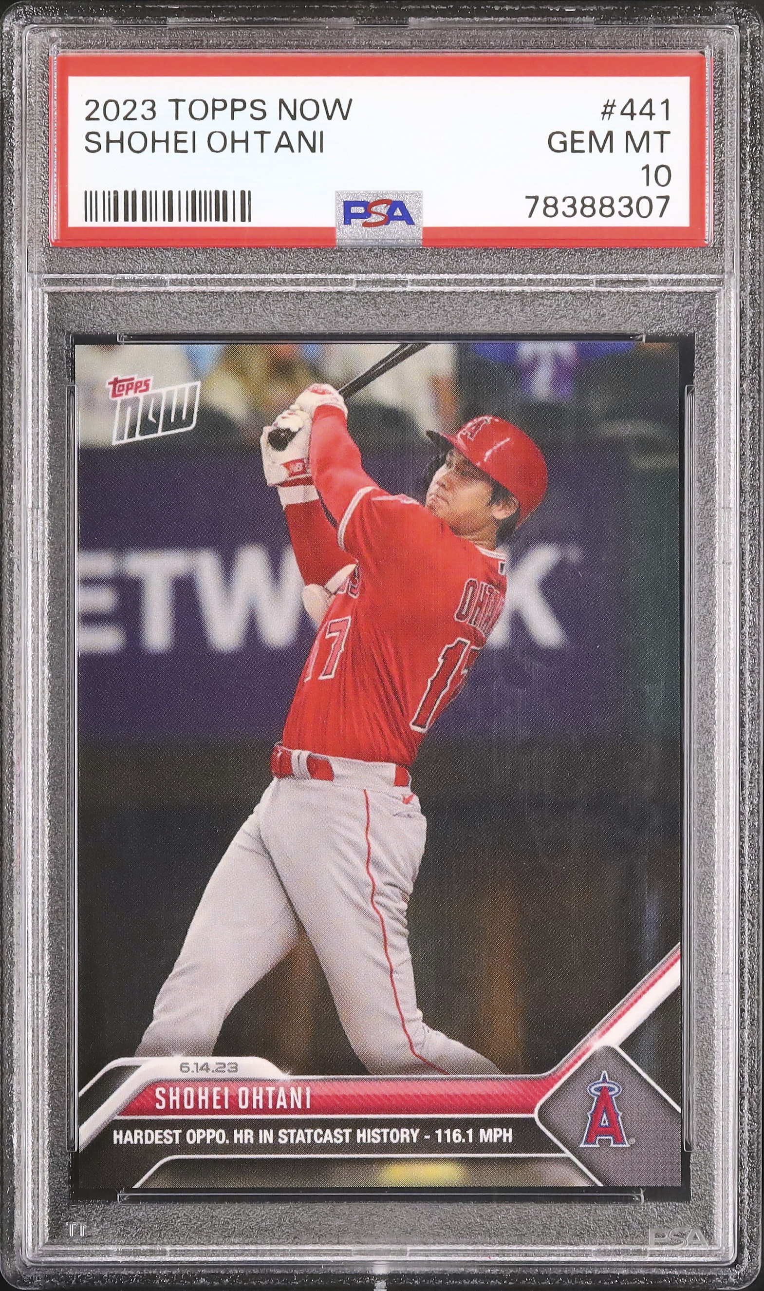 開催中のスポーツオークション - カルドバ