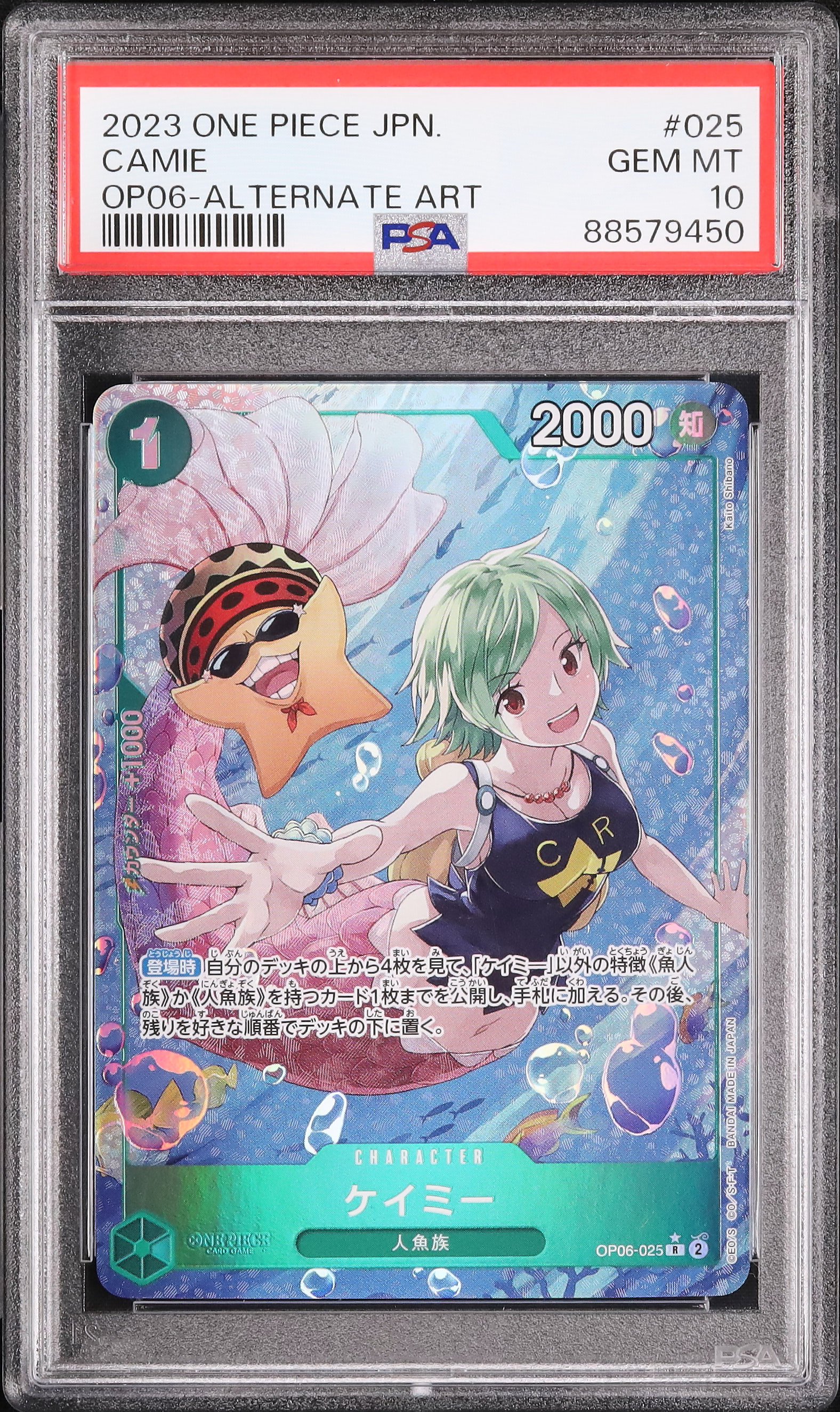 2023 ケイミー PSA 10 絵違い - カルドバ