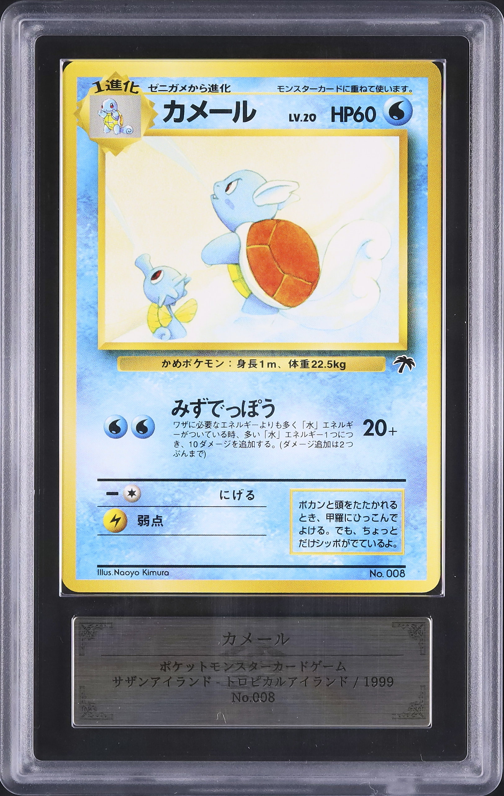 カメール LV.20 サザンアイランド トロピカルアイランド Wartortle