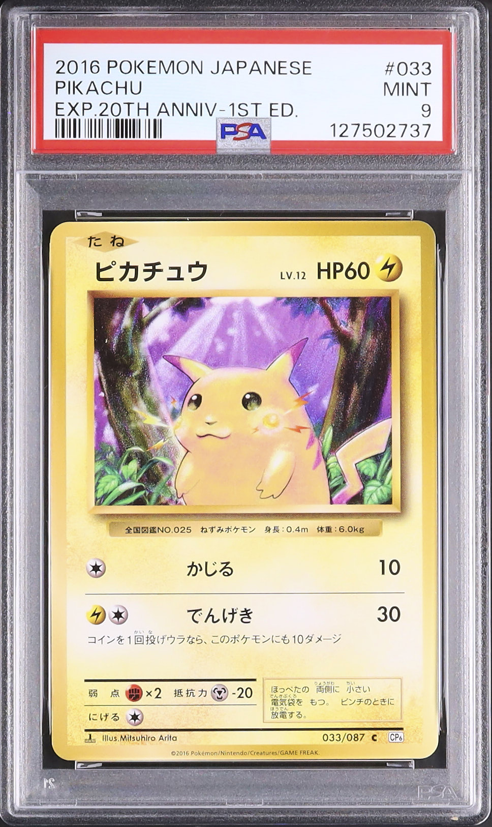 ポケモン ピカチュウ 1$ ピカチュウ | ポケモンカードゲーム公式ホームページ