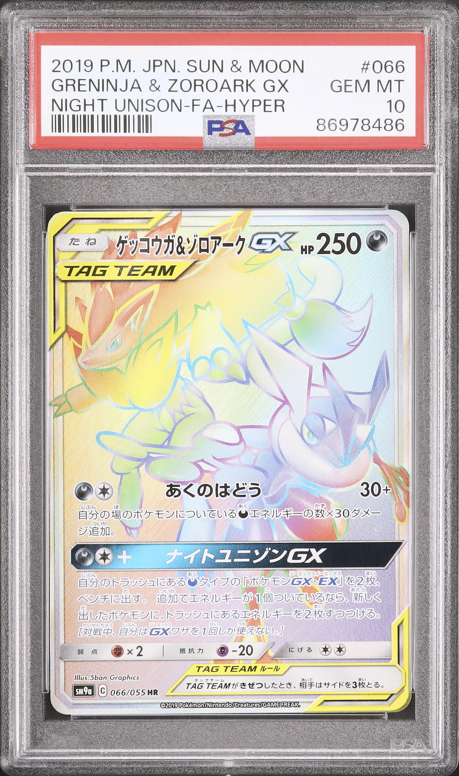 2019 Greninja & Zoroark GX PSA 10 FA - カルドバ