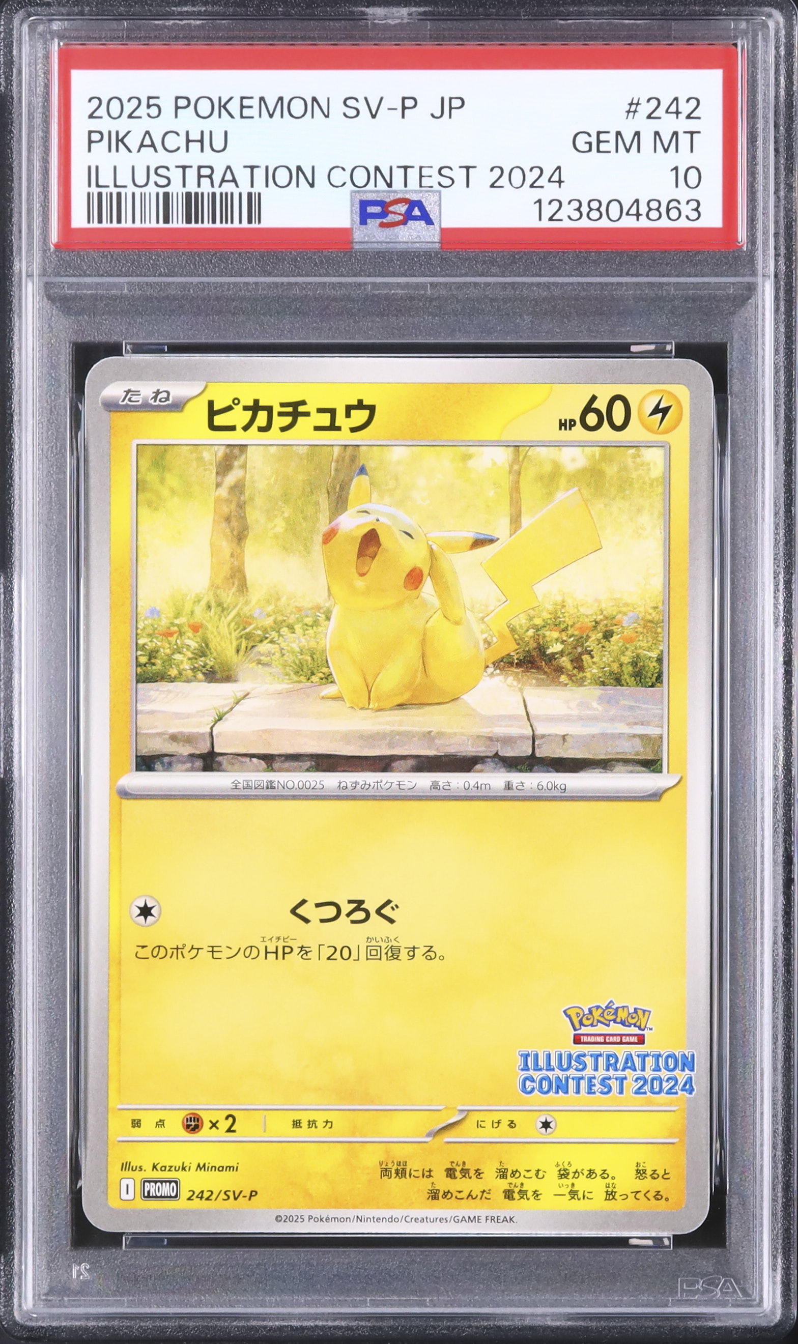 ピカチュウ プロモ イラストレーションコンテスト 2024 #242/SV-P