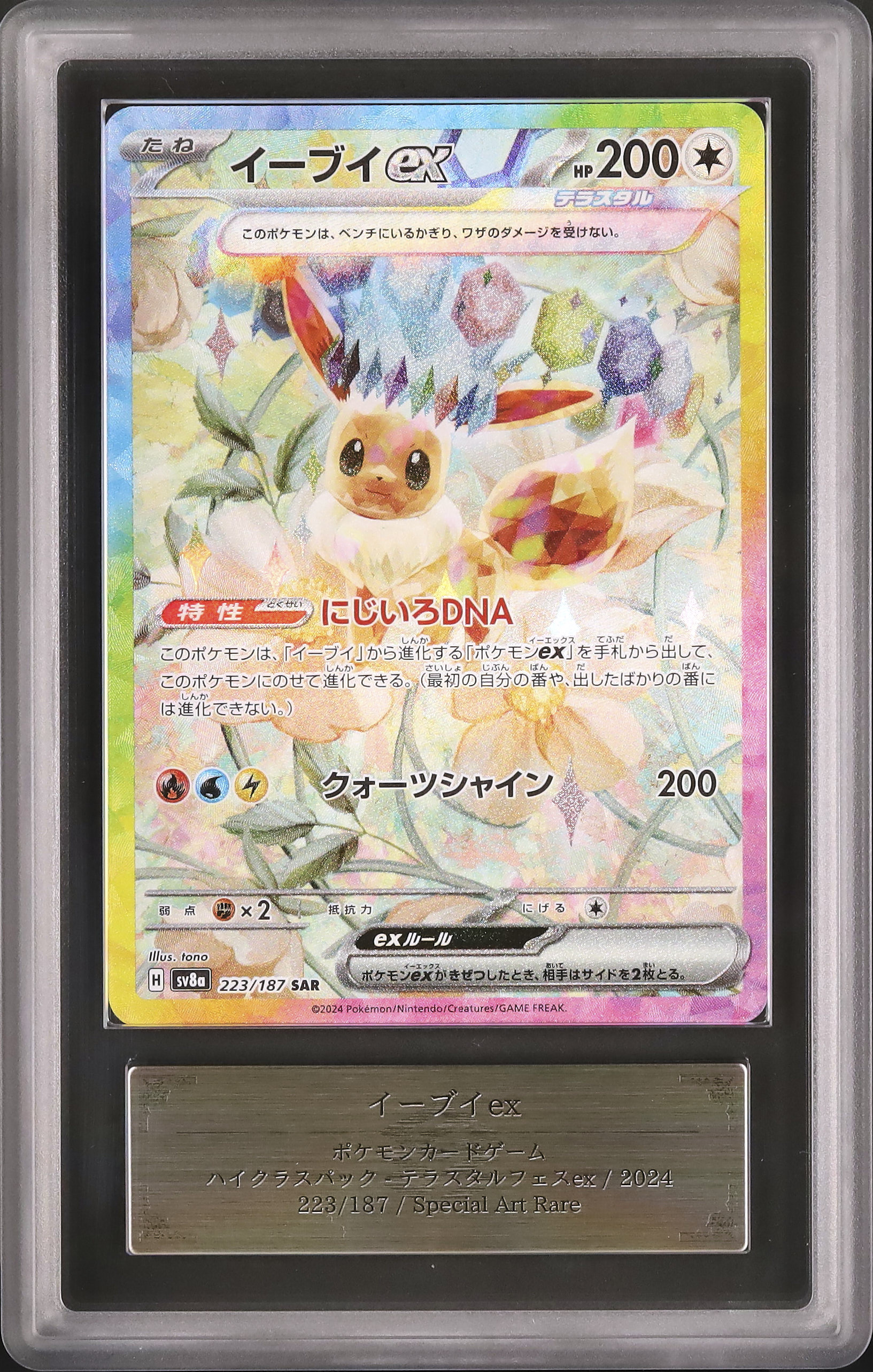 返品交換 ARS10 イーブイex テラスタルフェス 【公式通販】