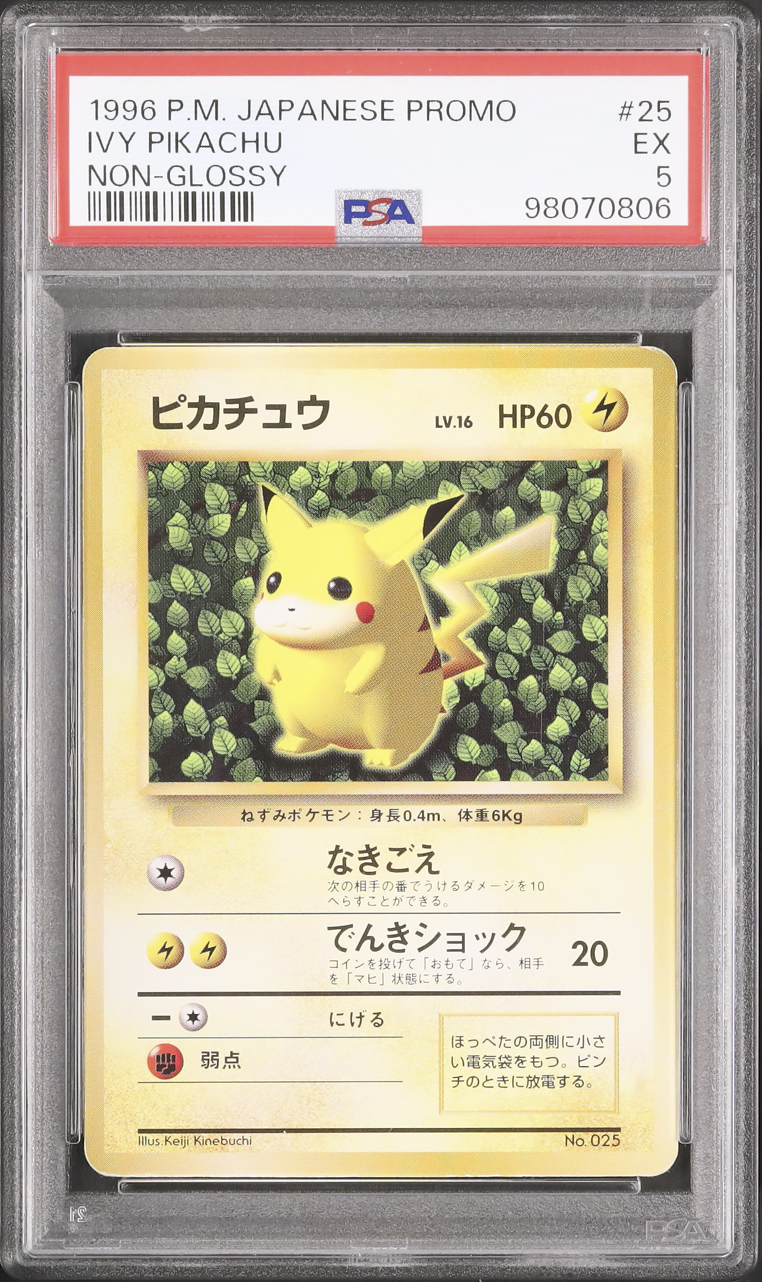 ポケモンカード ピカチュウ 1996年発行 1996 ピカチュウ PSA 5 - カルドバ