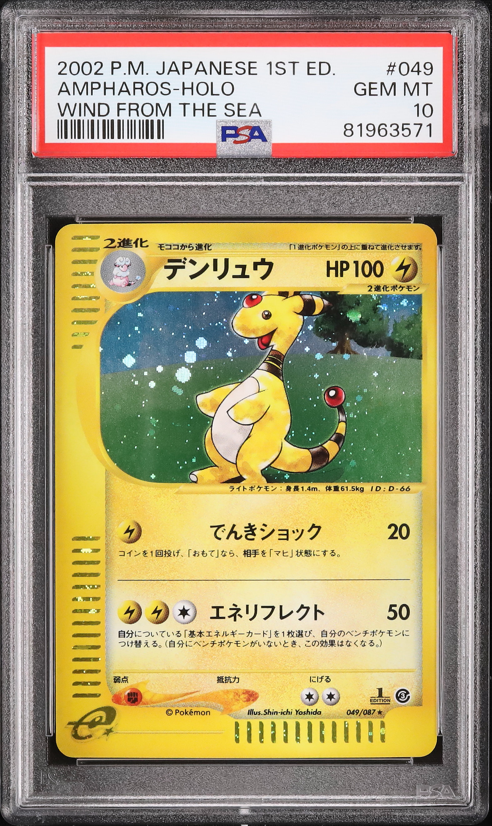 2002 デンリュウ PSA 10 ホロ - カルドバ