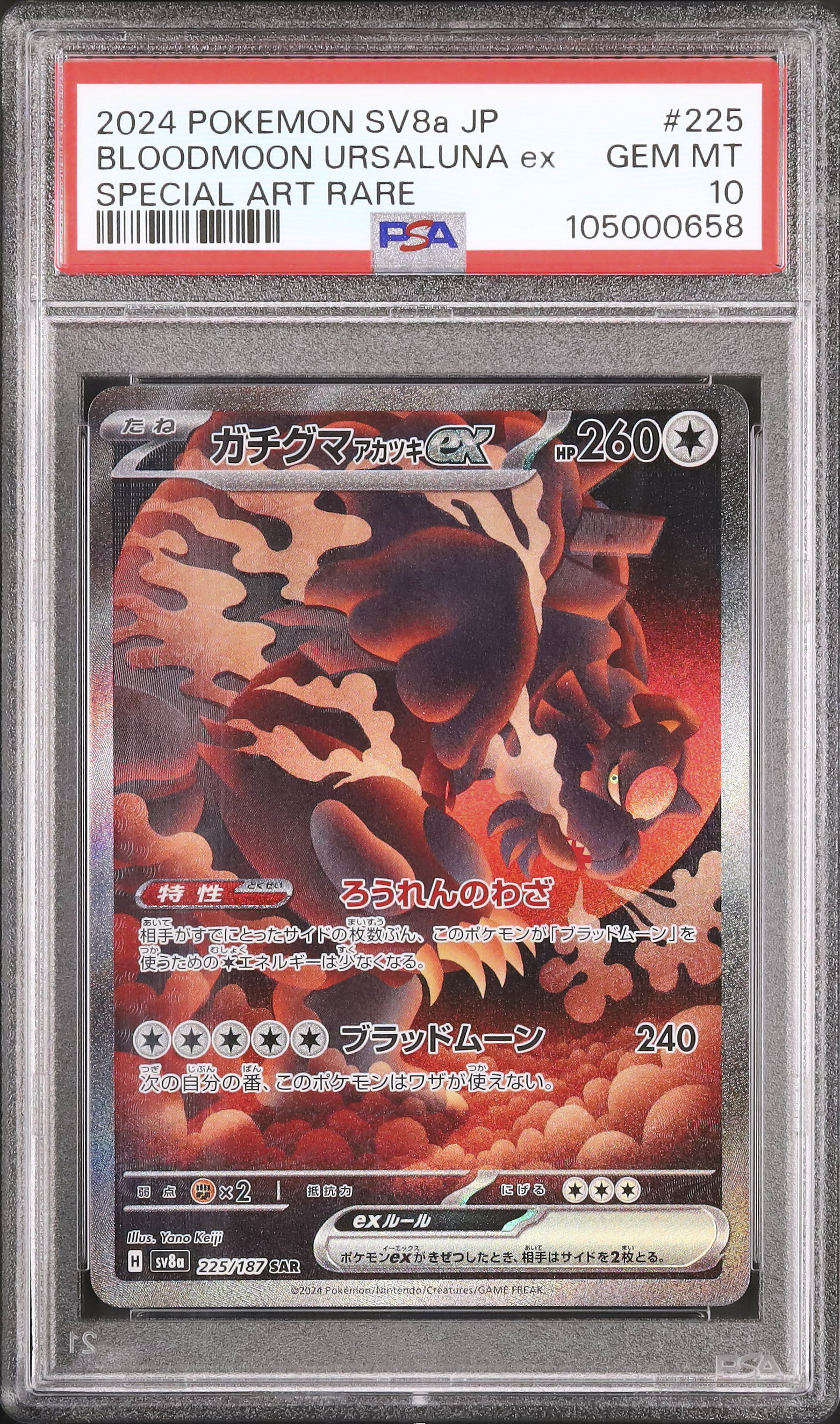 2024 ガチグマアカツキex PSA 10 - カルドバ