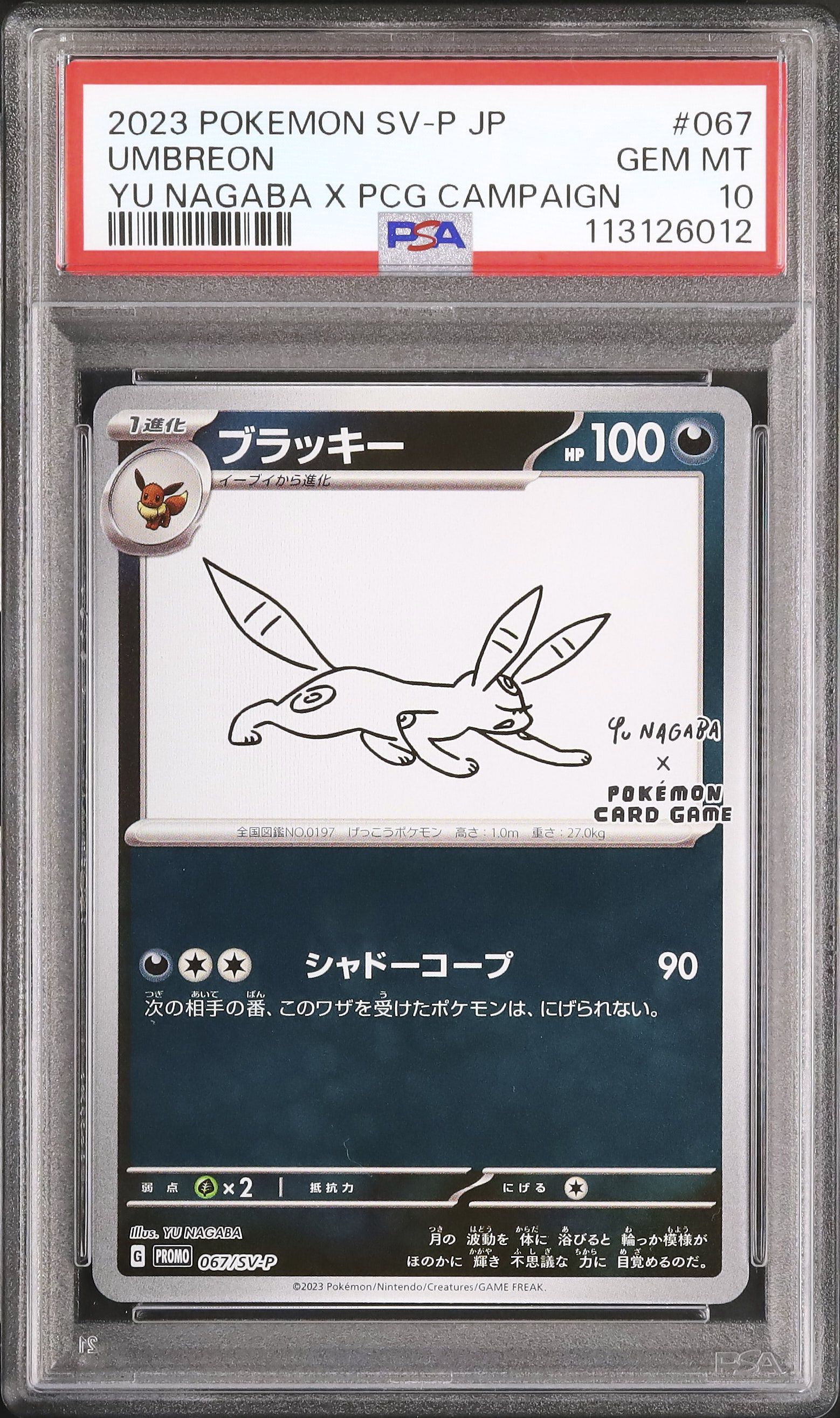 2023 ブラッキー PSA 10 - カルドバ