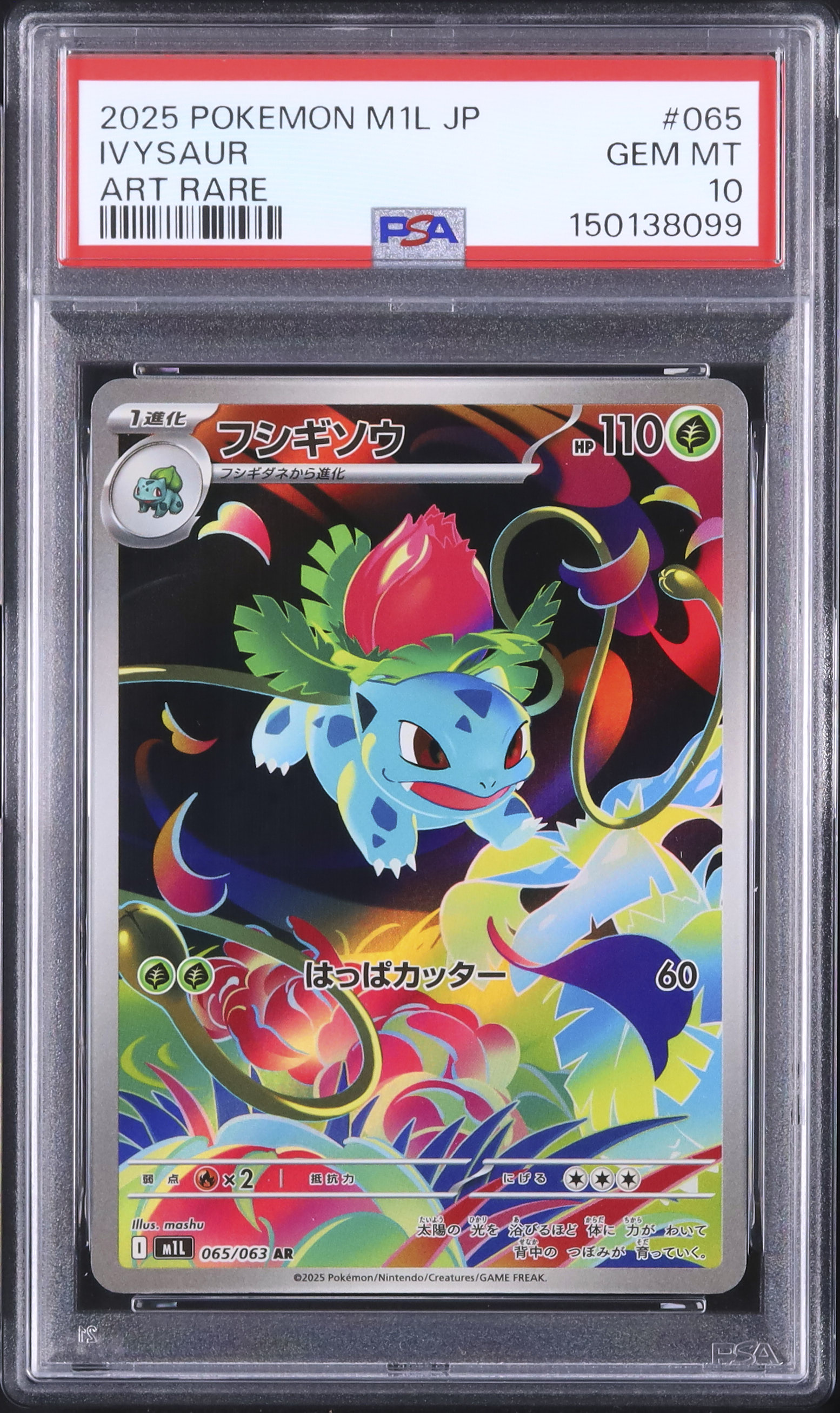 2025 フシギソウ PSA 10 - カルドバ
