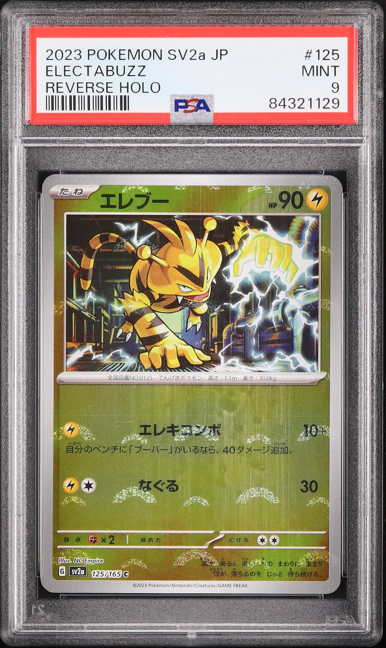 2023 エレブー PSA 9 ミラー モンスターボール - カルドバ