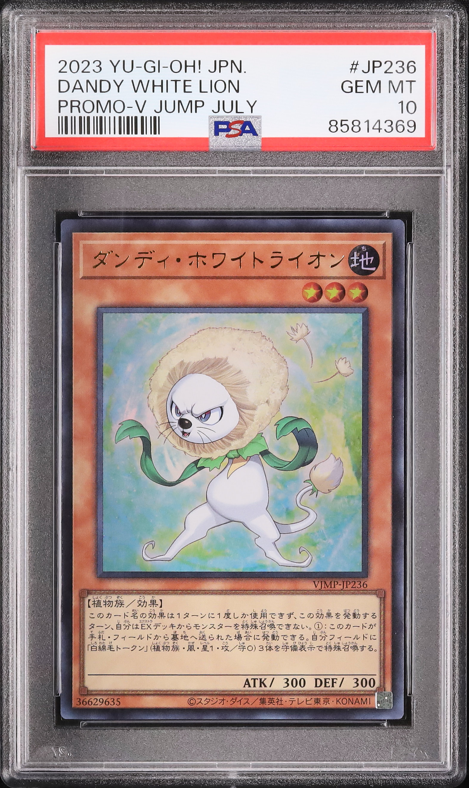 2023 ダンディ・ホワイトライオン PSA 10 - カルドバ