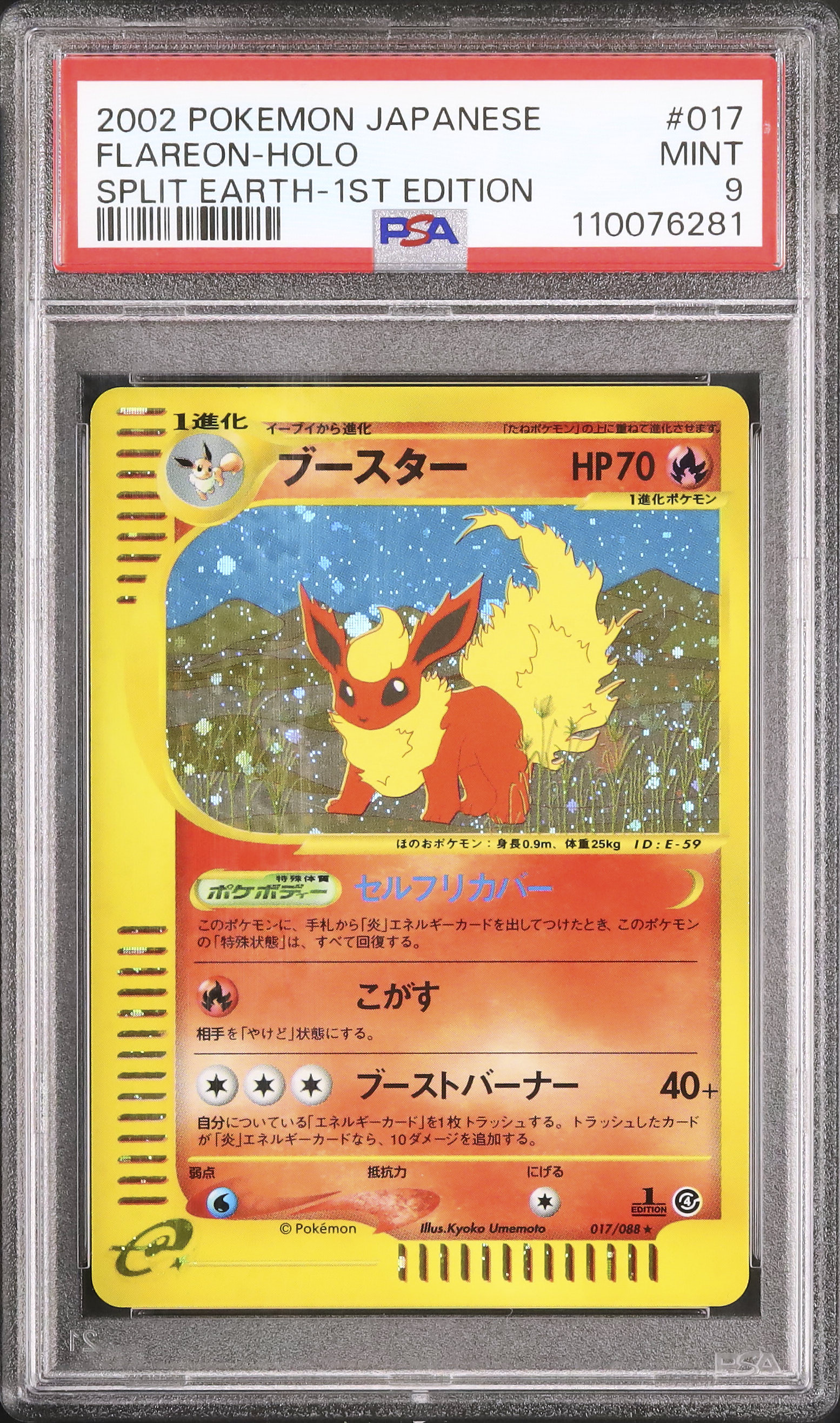 PSA9 ブースター 破けた大地 017 2002 1ED eカード 2002 ブースター PSA 9 1st エディション - カルドバ