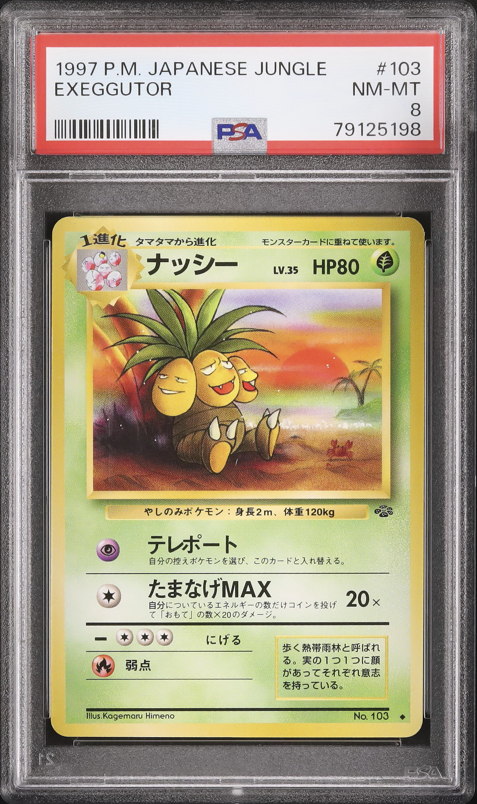 1997 ナッシー PSA 8 - カルドバ