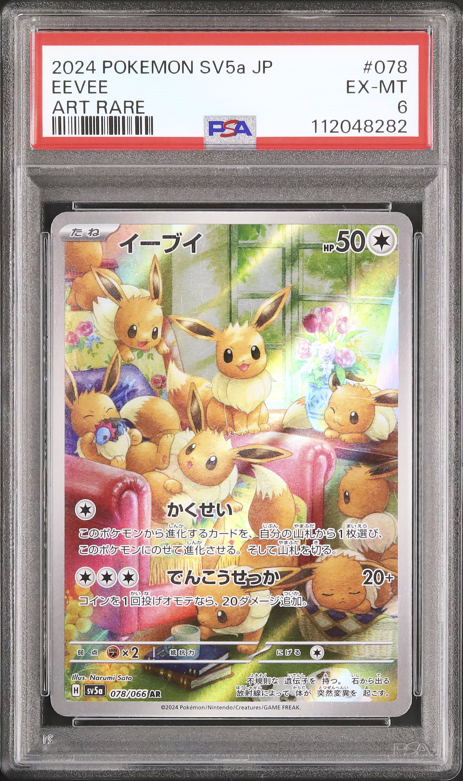 2024 イーブイ PSA 6 - カルドバ