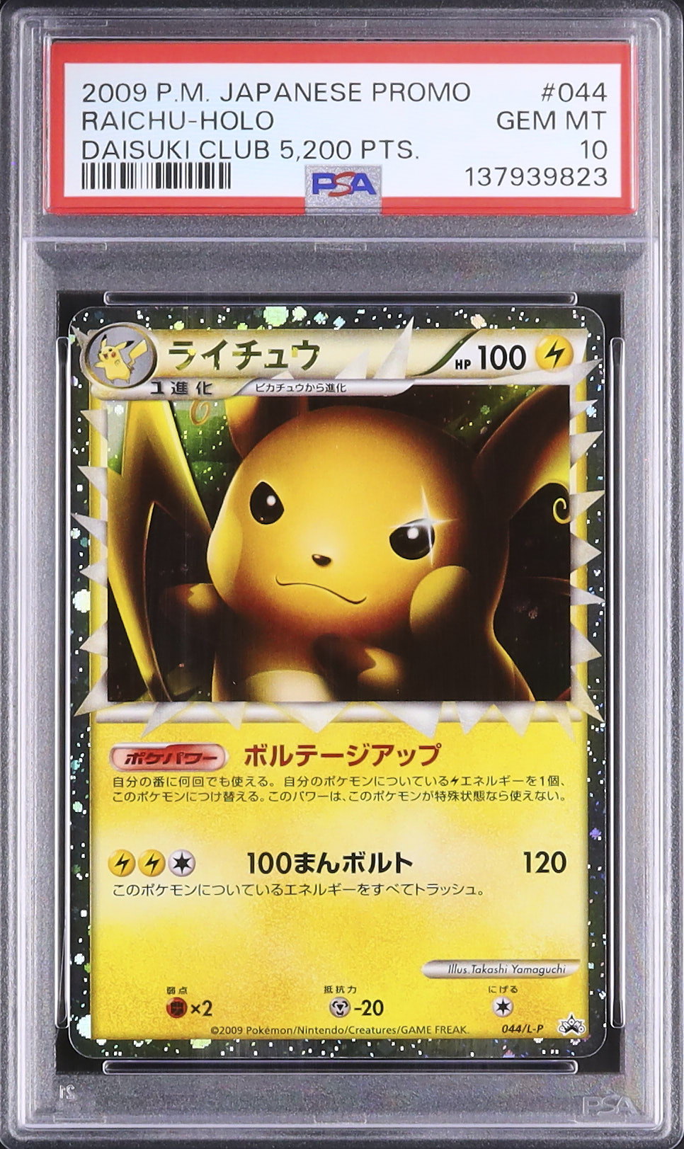 Live Auctions - Cardova Japan