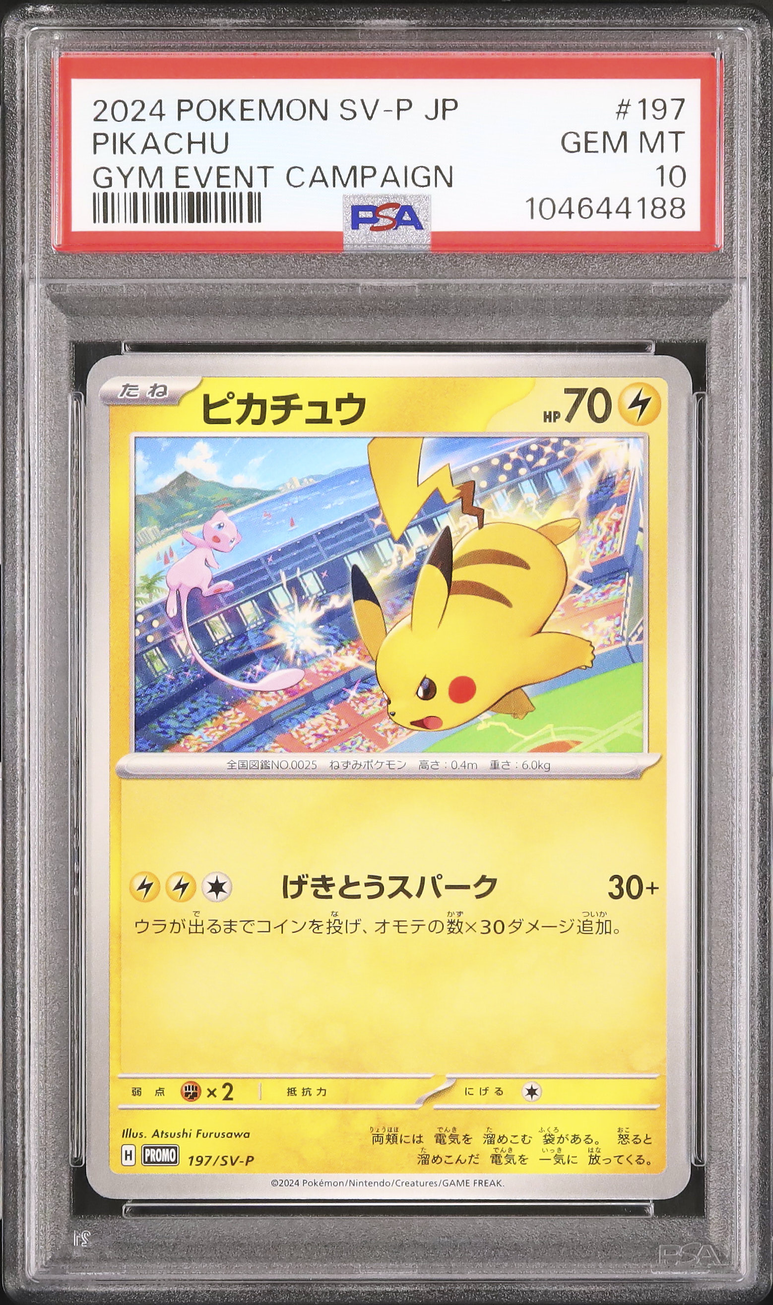 2024 ピカチュウ PSA 10 - カルドバ