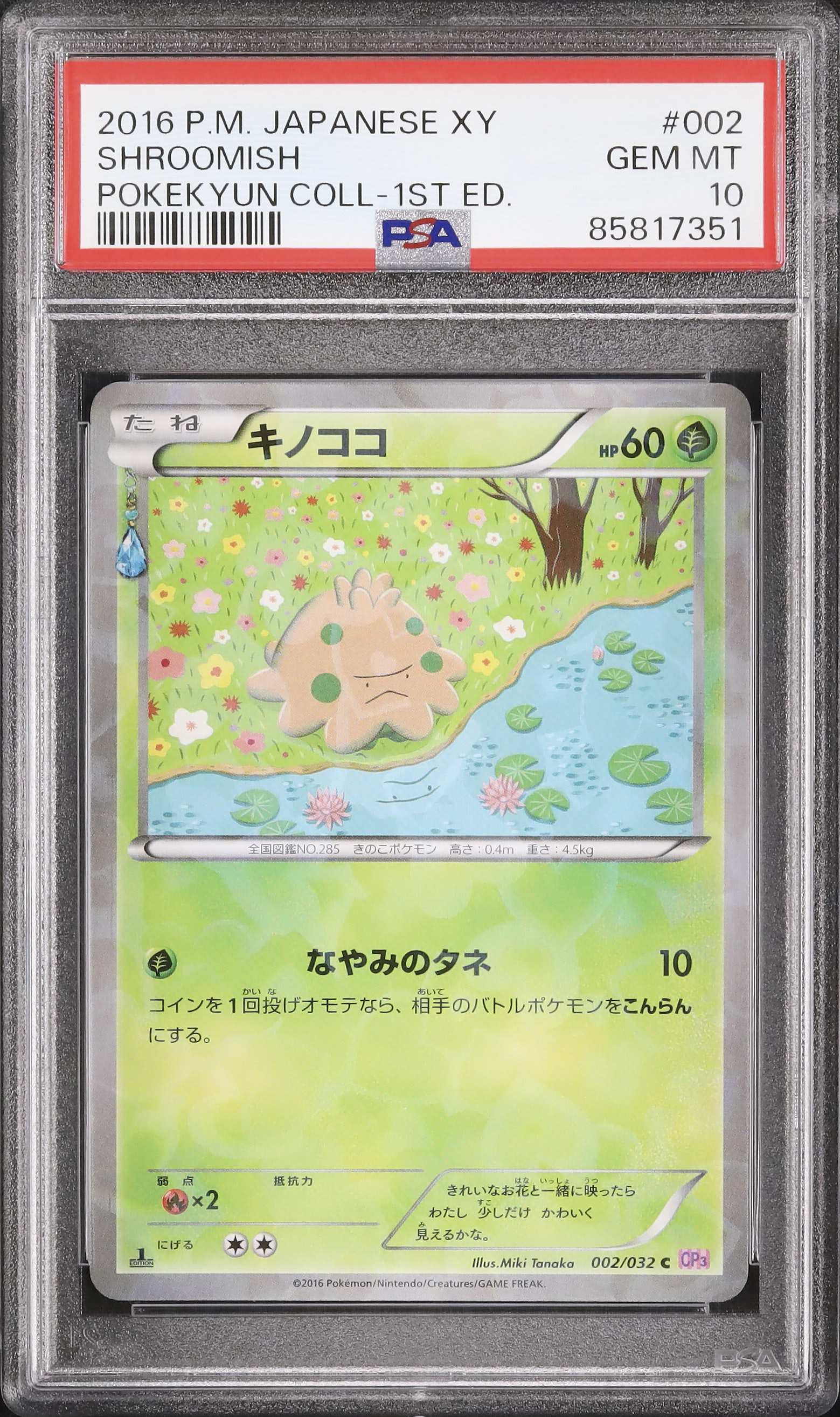 2016 キノココ PSA 10 1st エディション - カルドバ