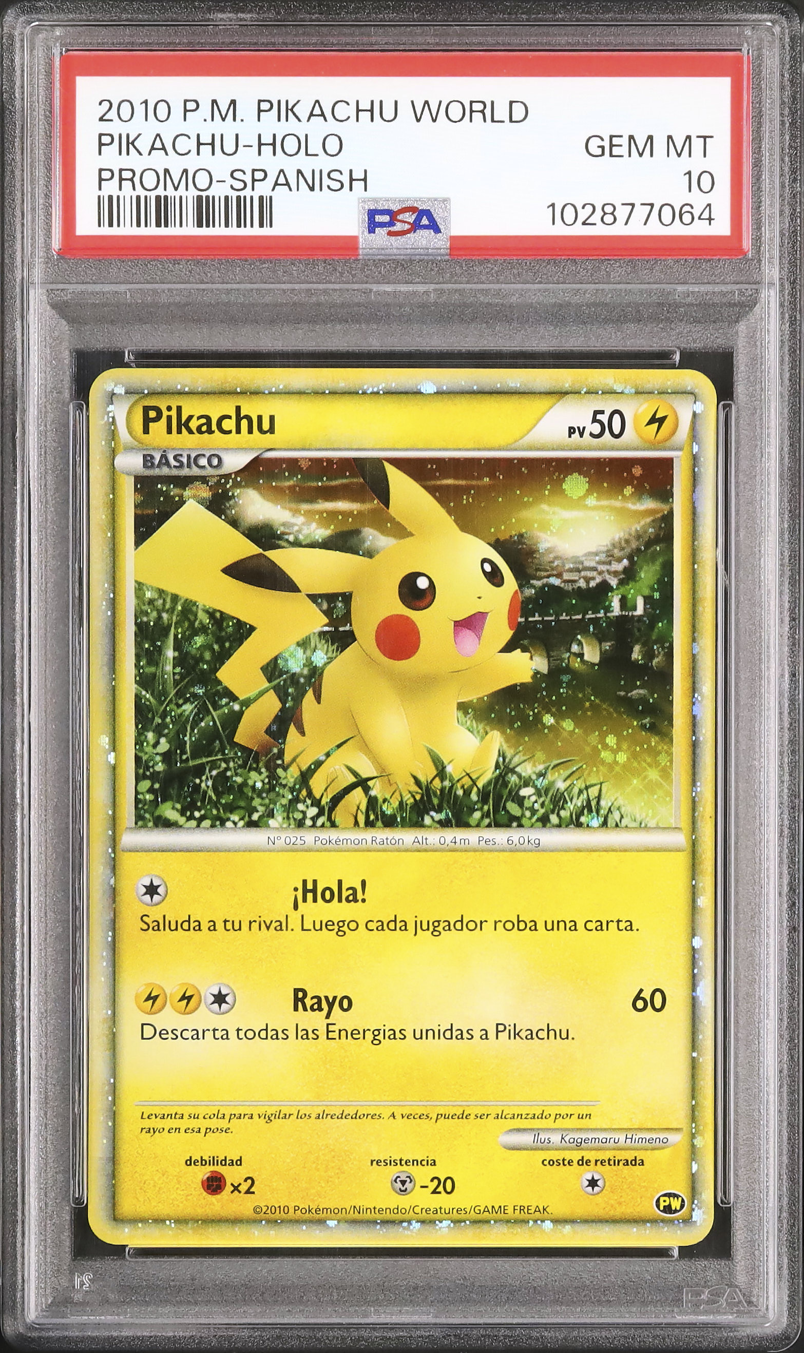 【PSA10】ピカチュウ ホロ 2010 ピカチュウ PSA 10 ホロ - カルドバ
