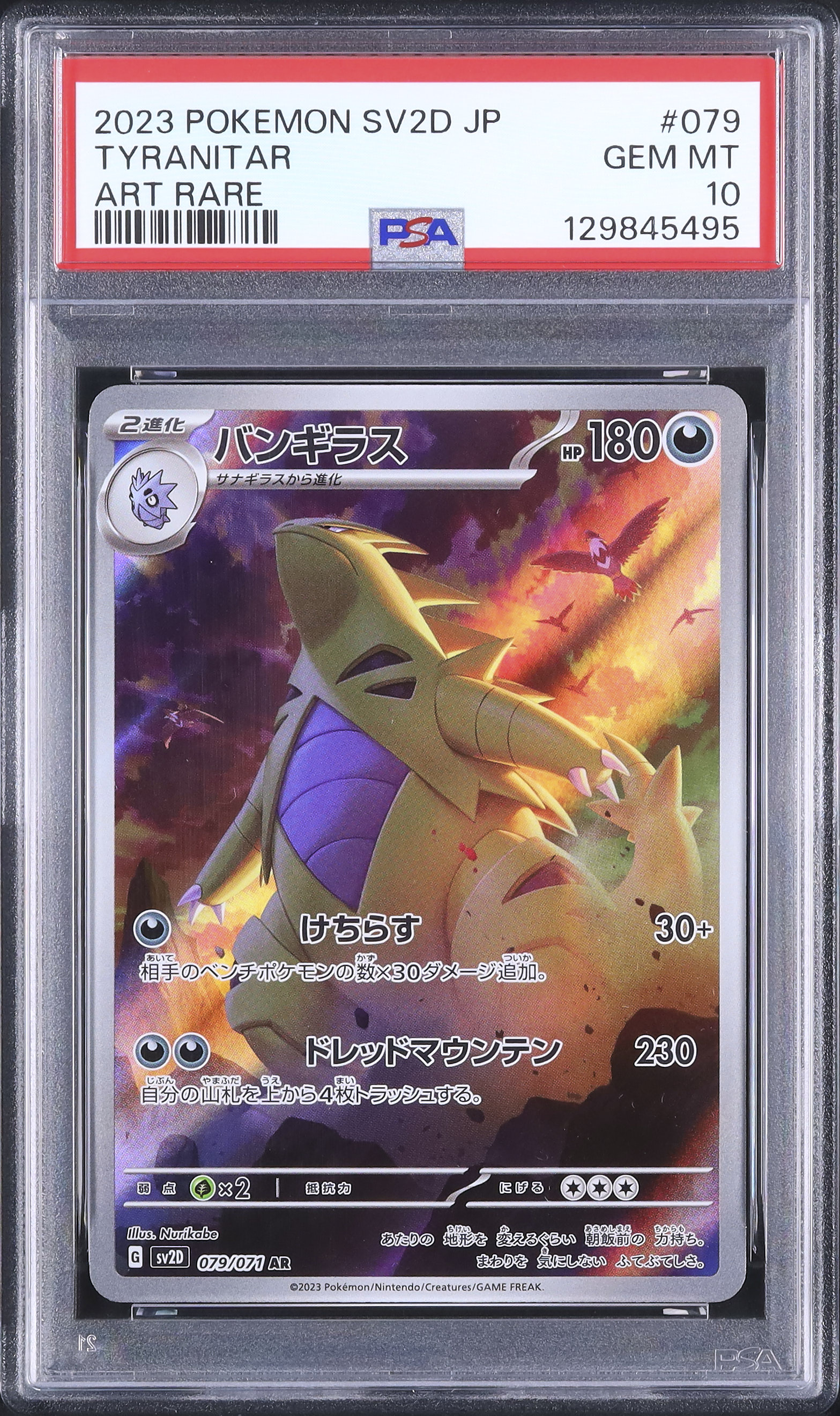 2023 バンギラス PSA 10 - カルドバ