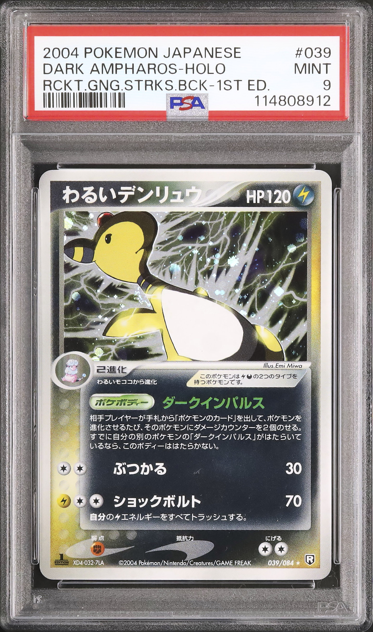 わるいデンリュウ