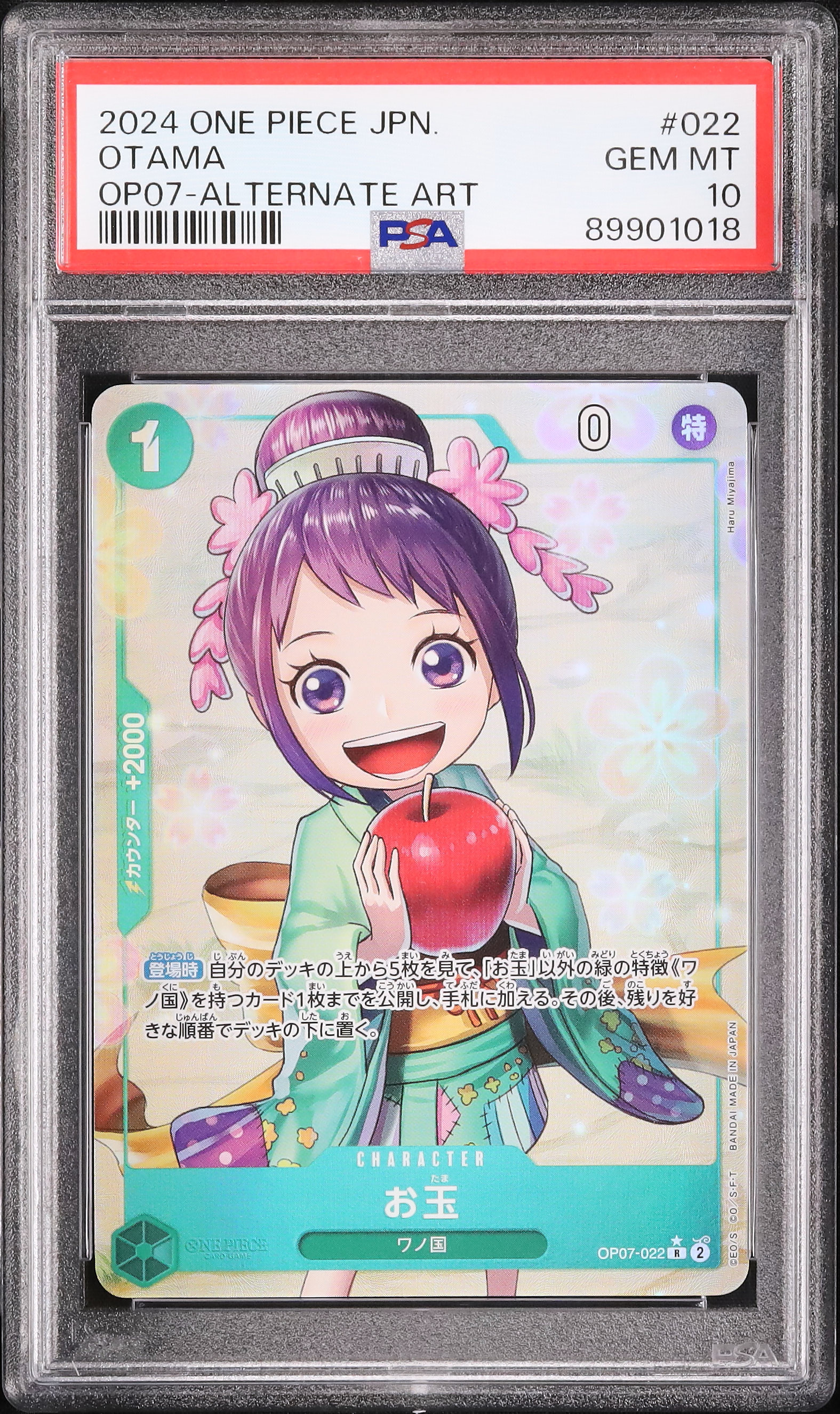 2024 お玉 PSA 10 絵違い - カルドバ