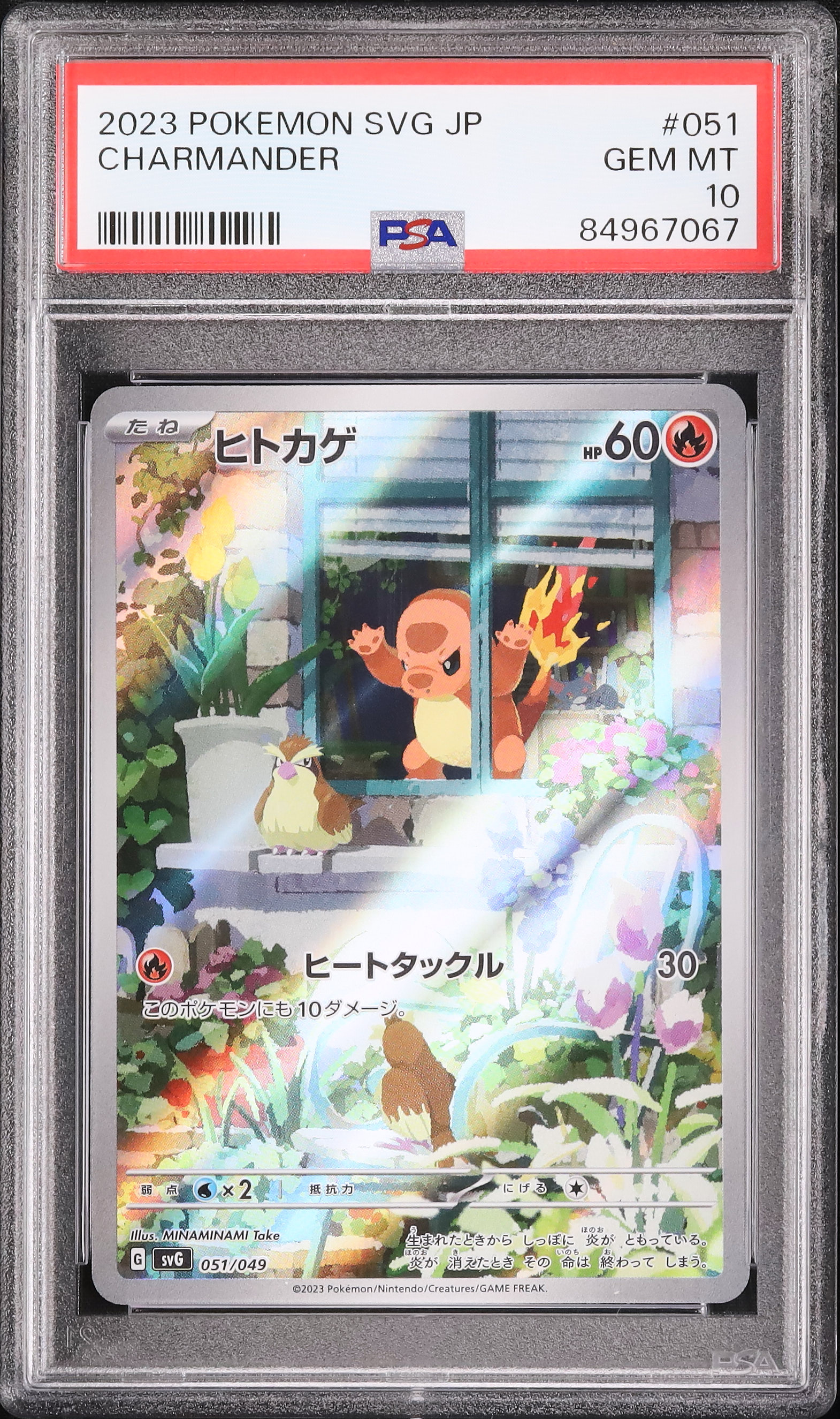 PSA10 2023 ポケモンカード ヒトカゲAR 2023 ヒトカゲ PSA 10 - カルドバ