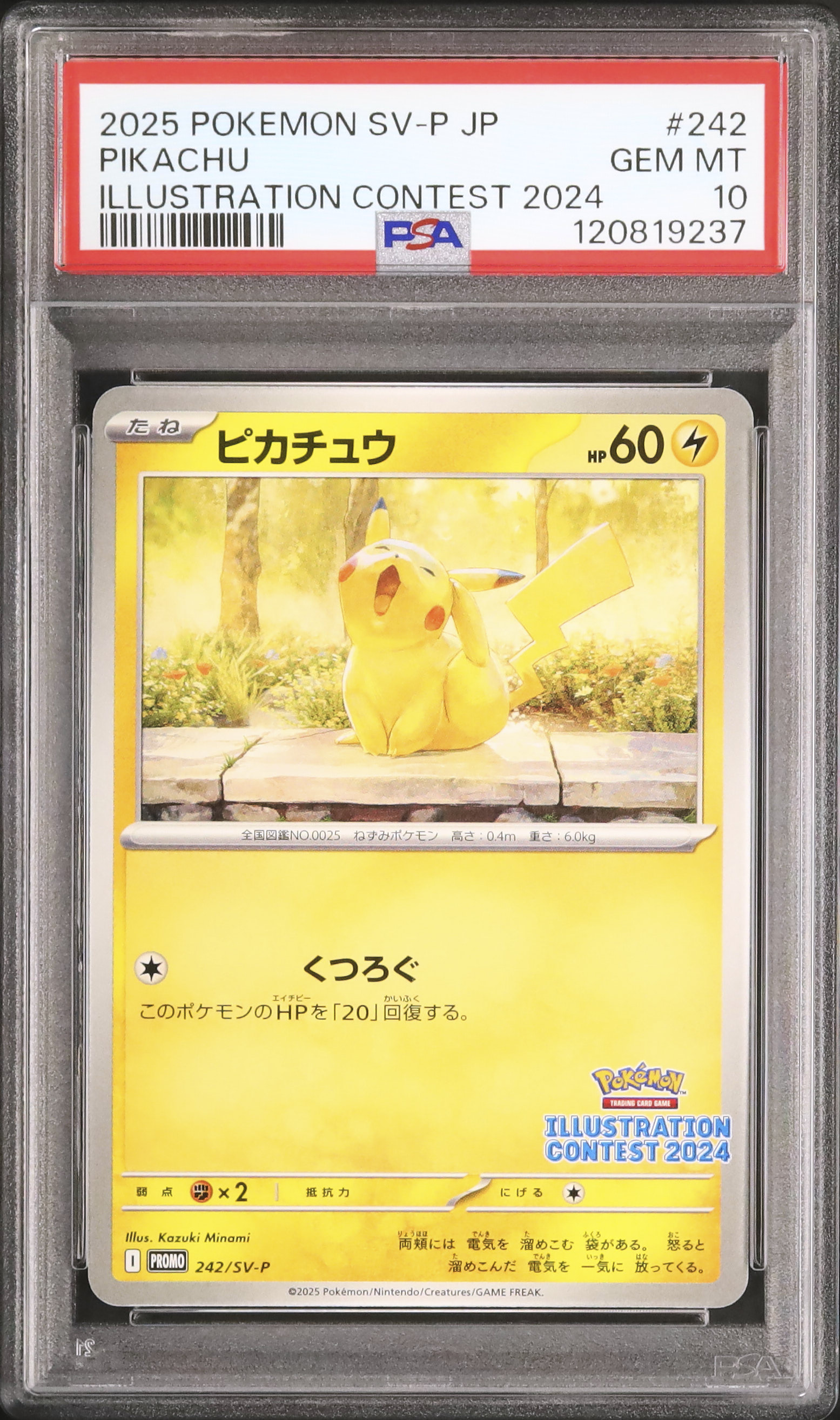 2025 Pikachu PSA 10 - Cardova Japan