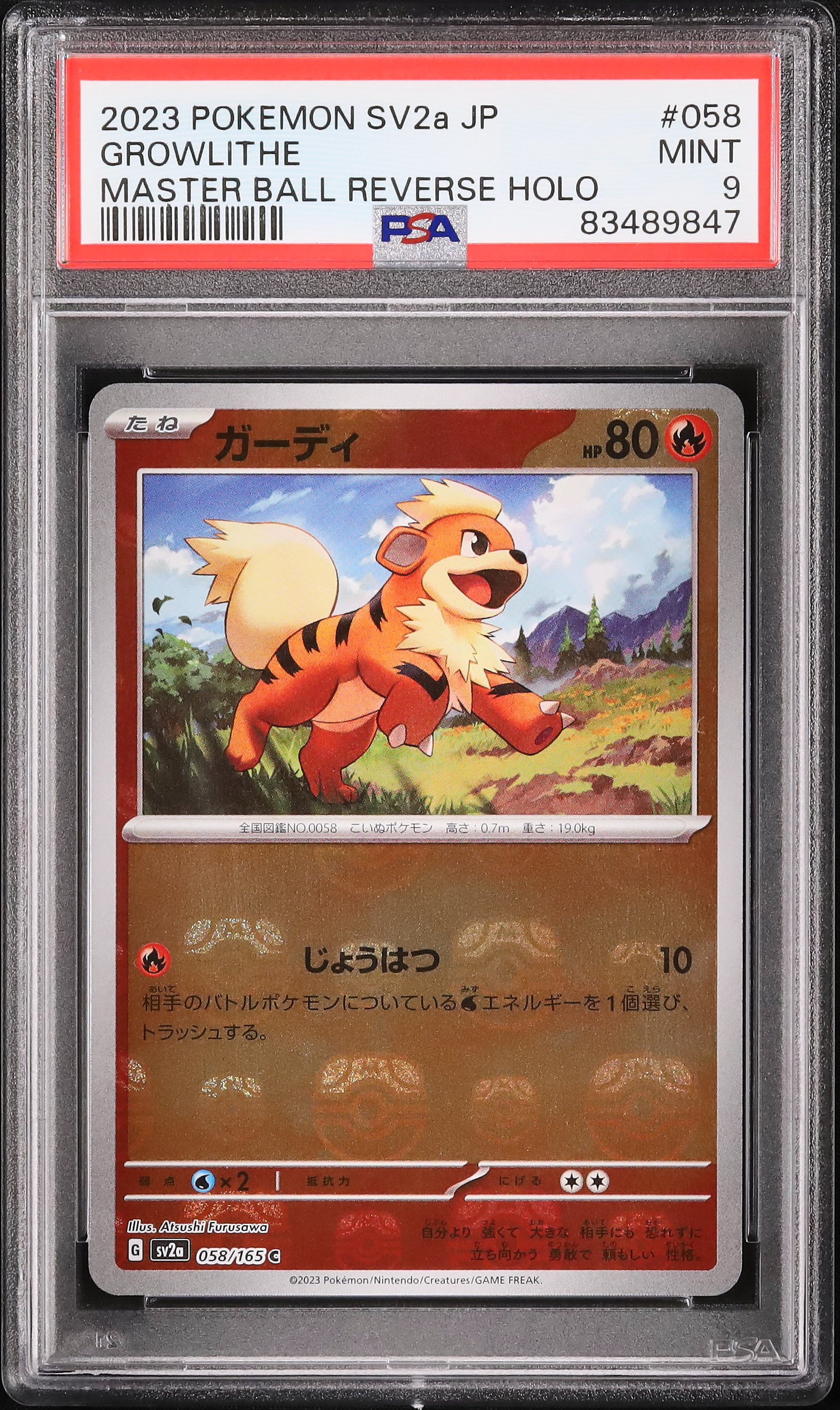 2023 ガーディ PSA 9 マスターボール - カルドバ ポケモンカード ガーディ psa9