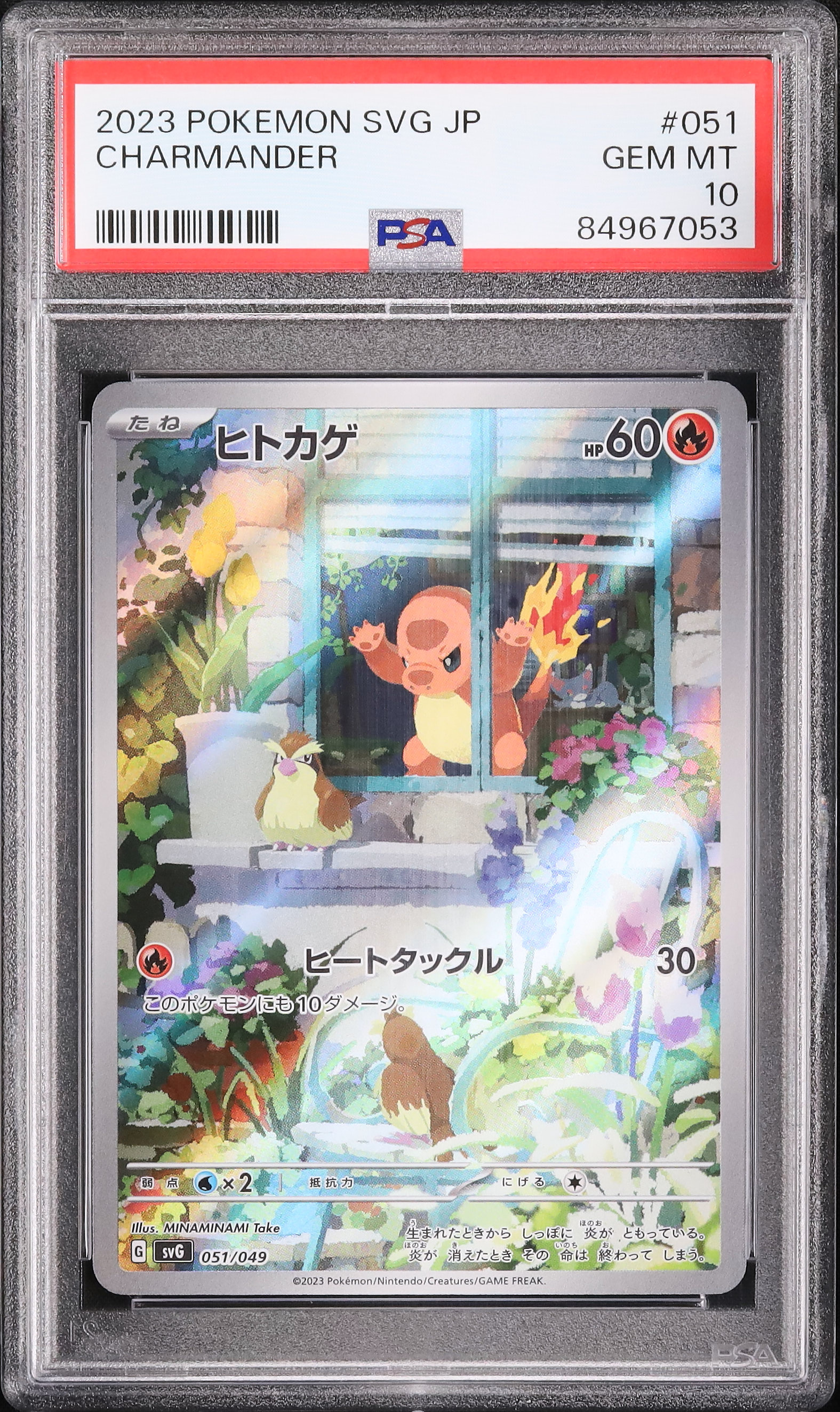 2023 Charmander PSA 10 AR - Cardova Japan