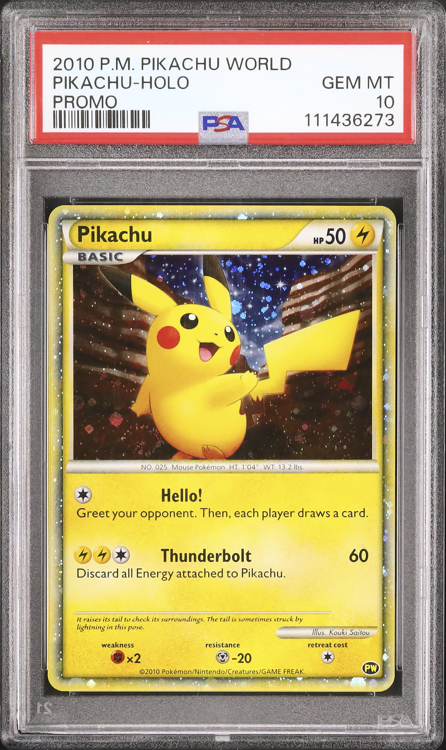 N*O様 ピカチュウ PW ピカチュウワールド PIKACHU WORLD アメ