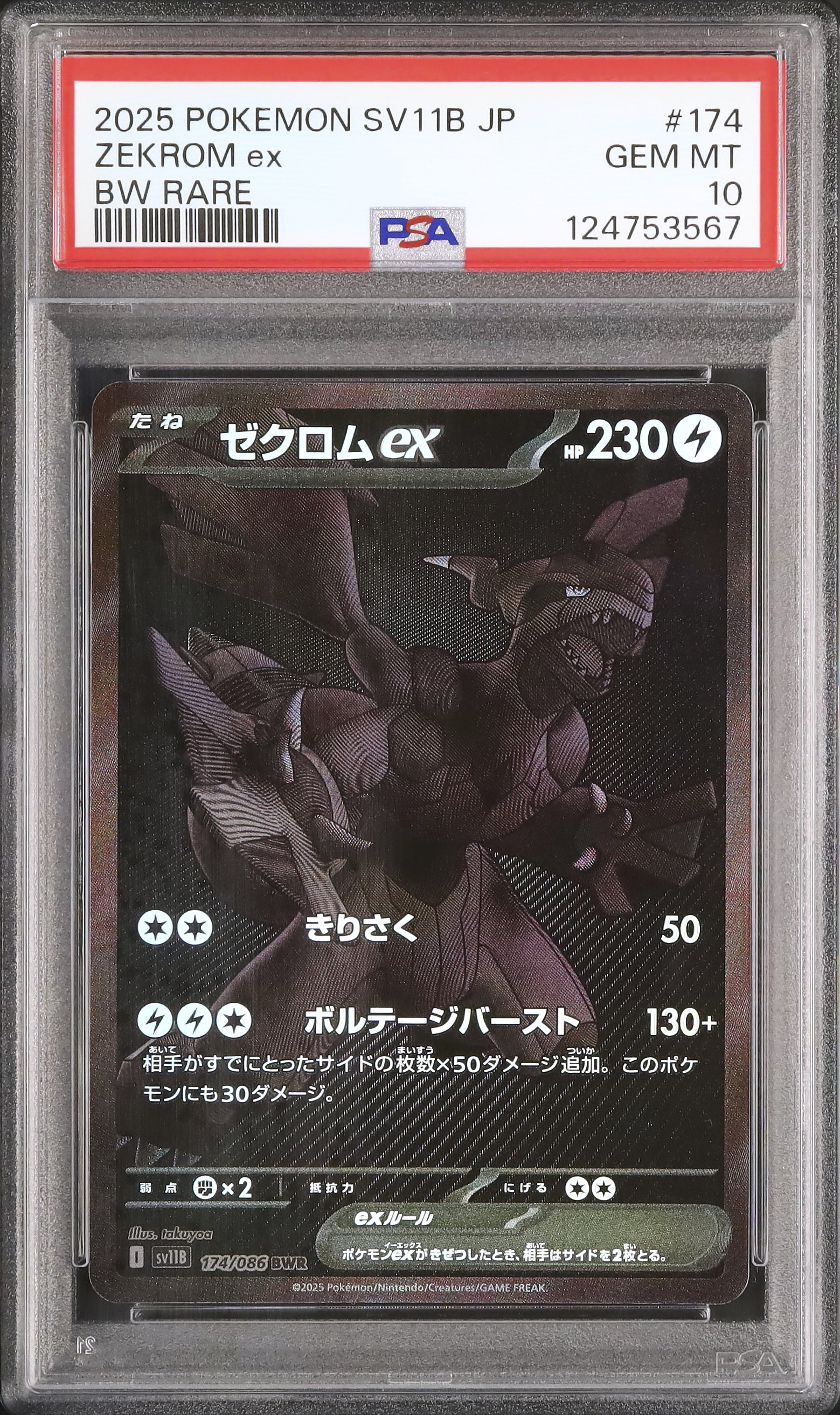 2025 ゼクロムex PSA 10 - カルドバ
