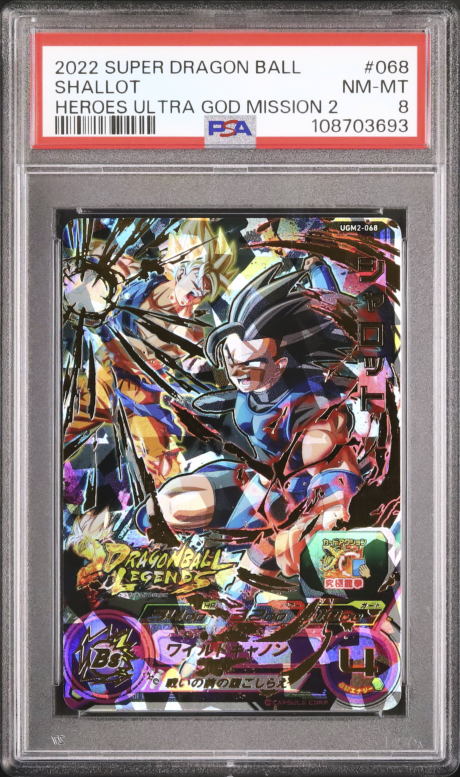 2022 シャロット PSA 8 - カルドバ