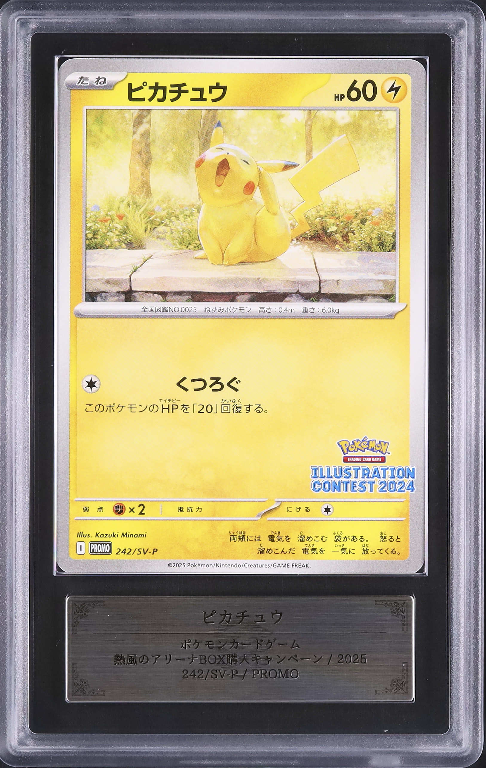 Pokemon Card Japanese Pikachu 242/SV-P PROMO Illustration Contest
