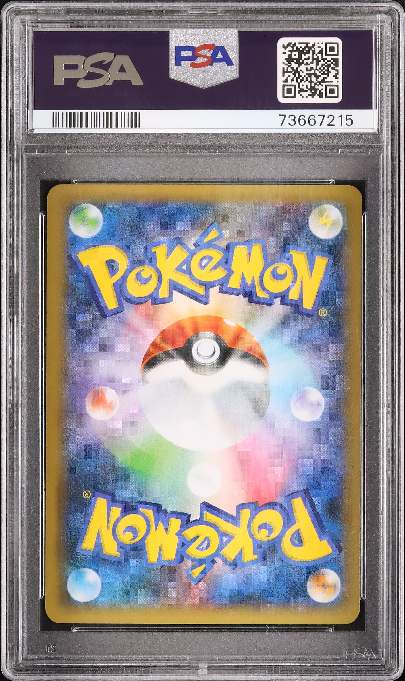 2021 カメックス PSA 10 ホロ - カルドバ