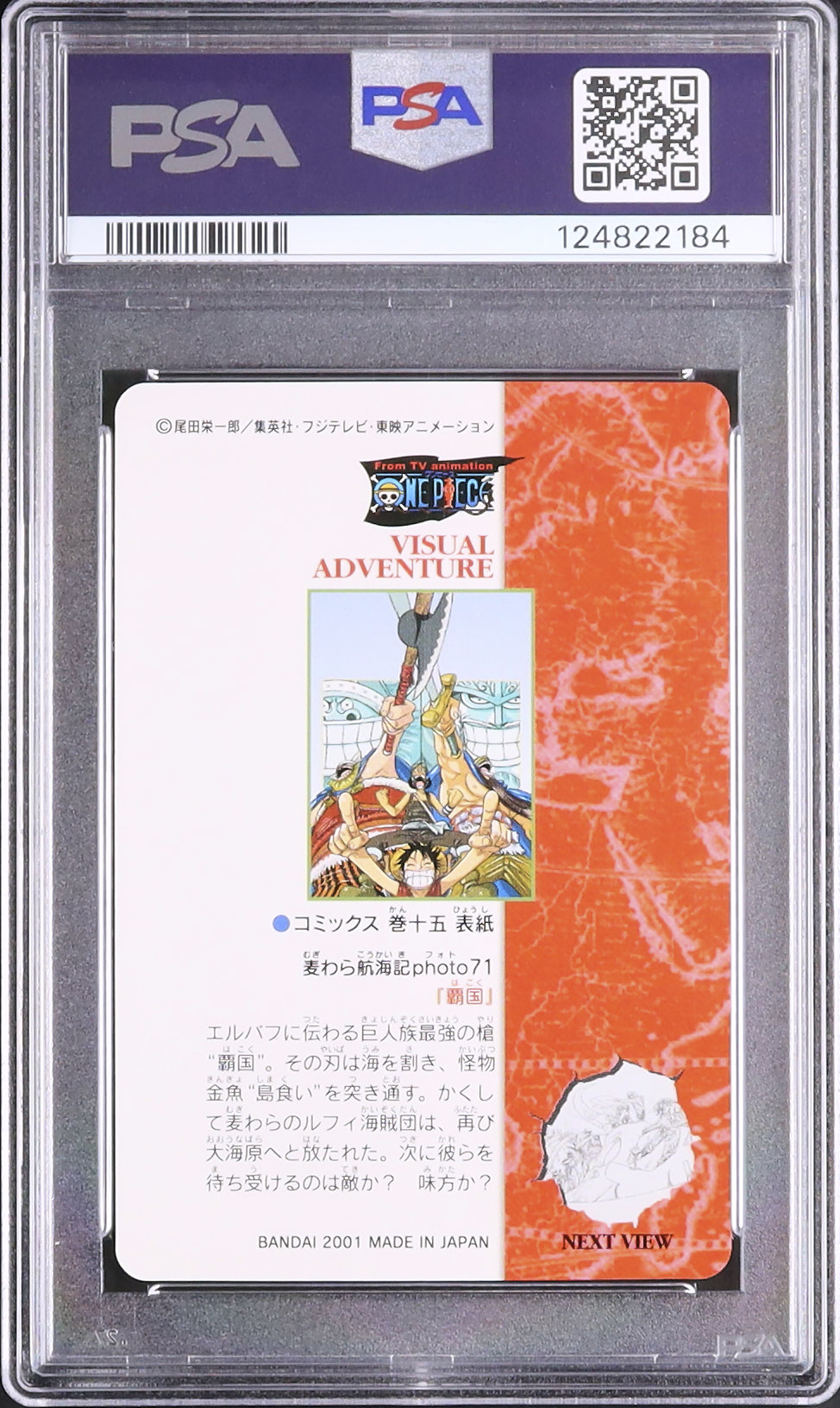 2001 Luffy & Usopp & Brogy & Dory PSA 10 - カルドバ