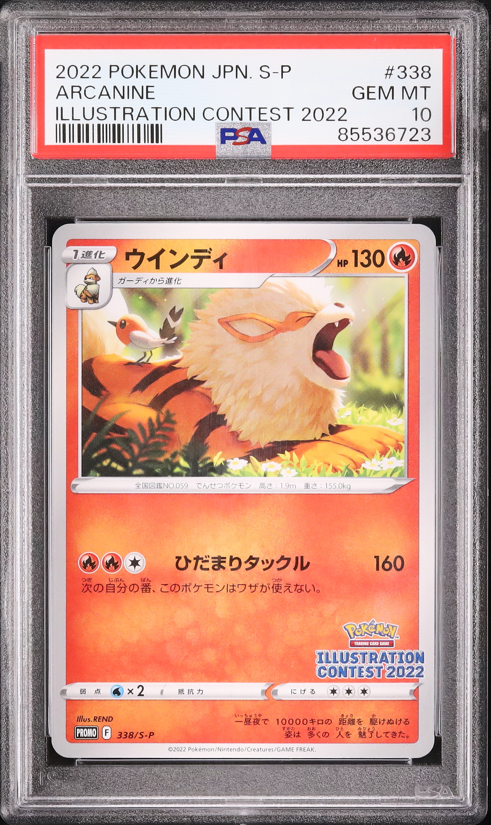 2022 Arcanine PSA 10 - カルドバ
