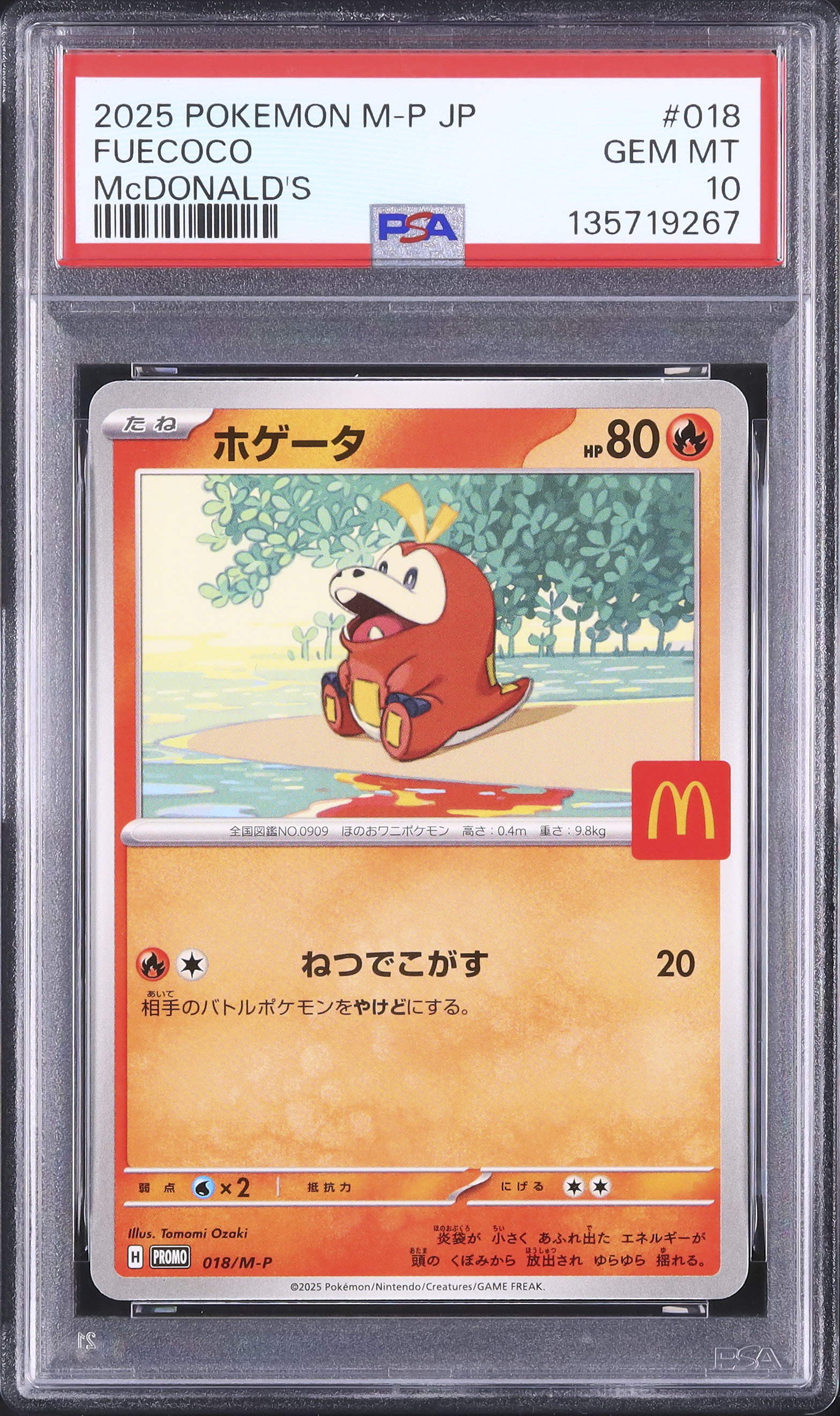 2025 ホゲータ PSA 10 - カルドバ