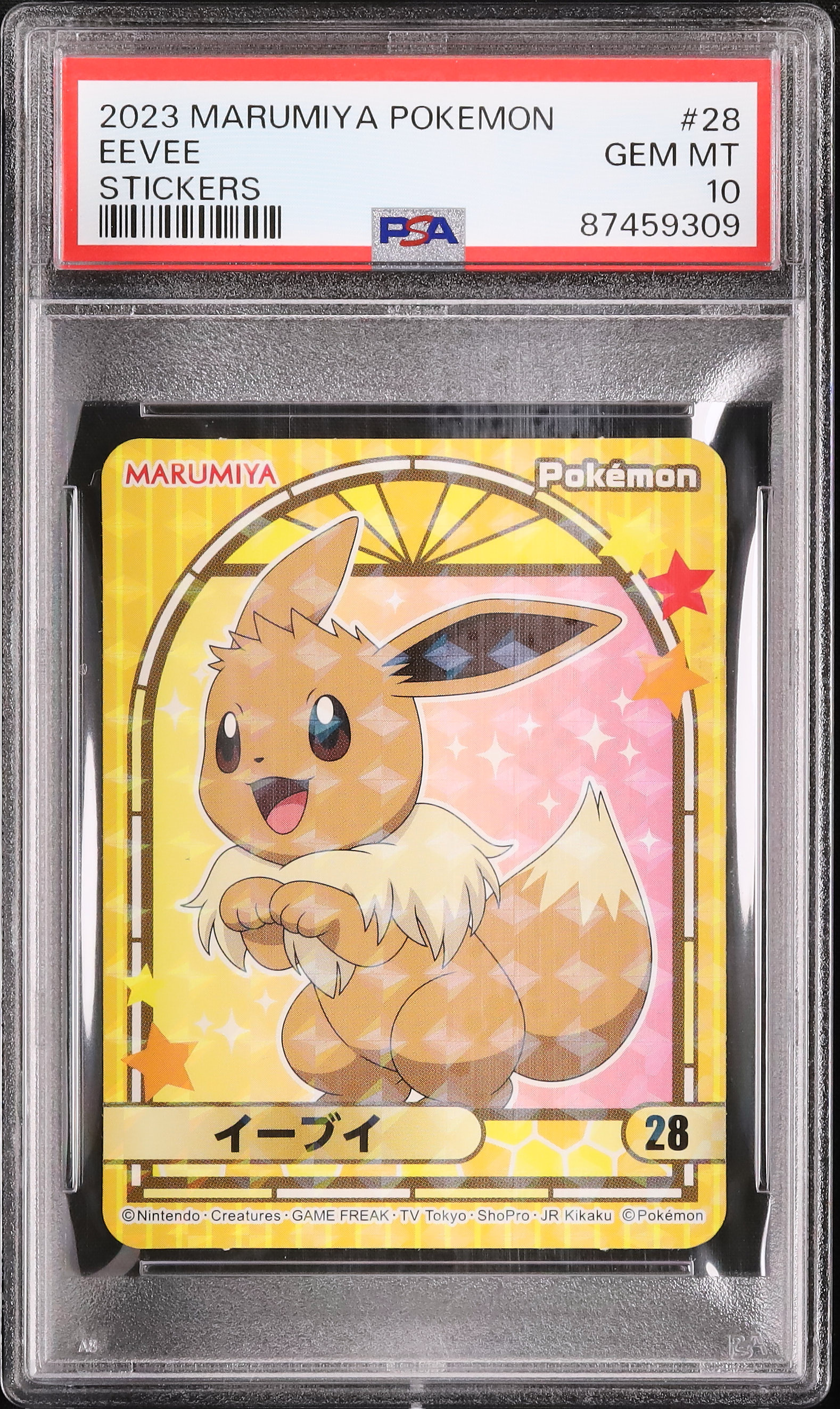 2023 イーブイ PSA 10 - カルドバ