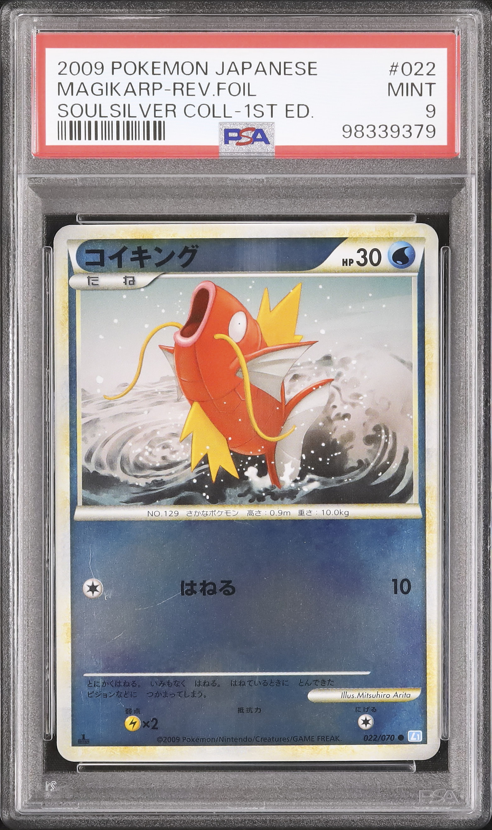 コイキング 初版　PSA9 2009 コイキング PSA 9 1st エディション - カルドバ