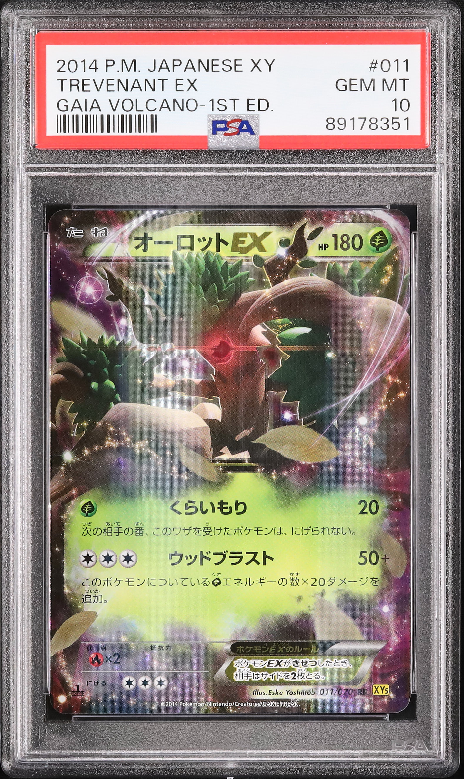 オーロットEX 2014年 GEM MT（PSA10）