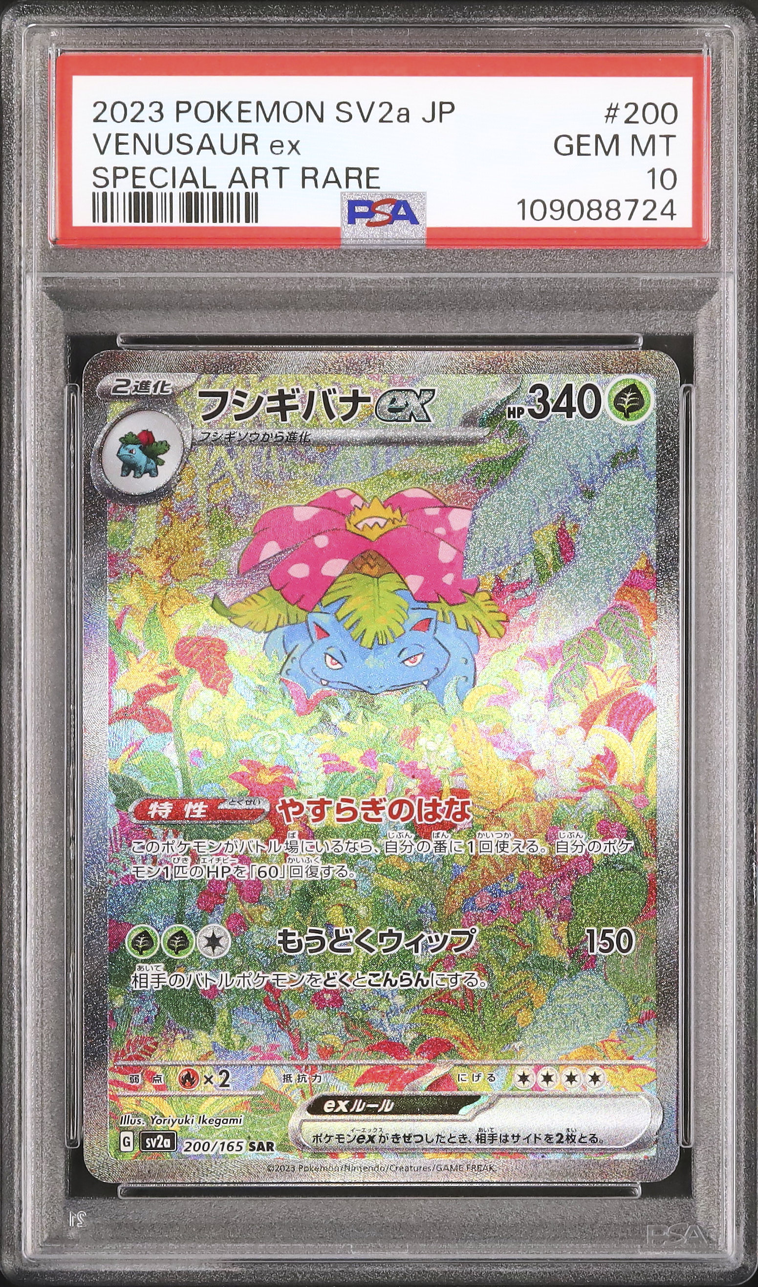 2023 フシギバナex PSA 10 - カルドバ