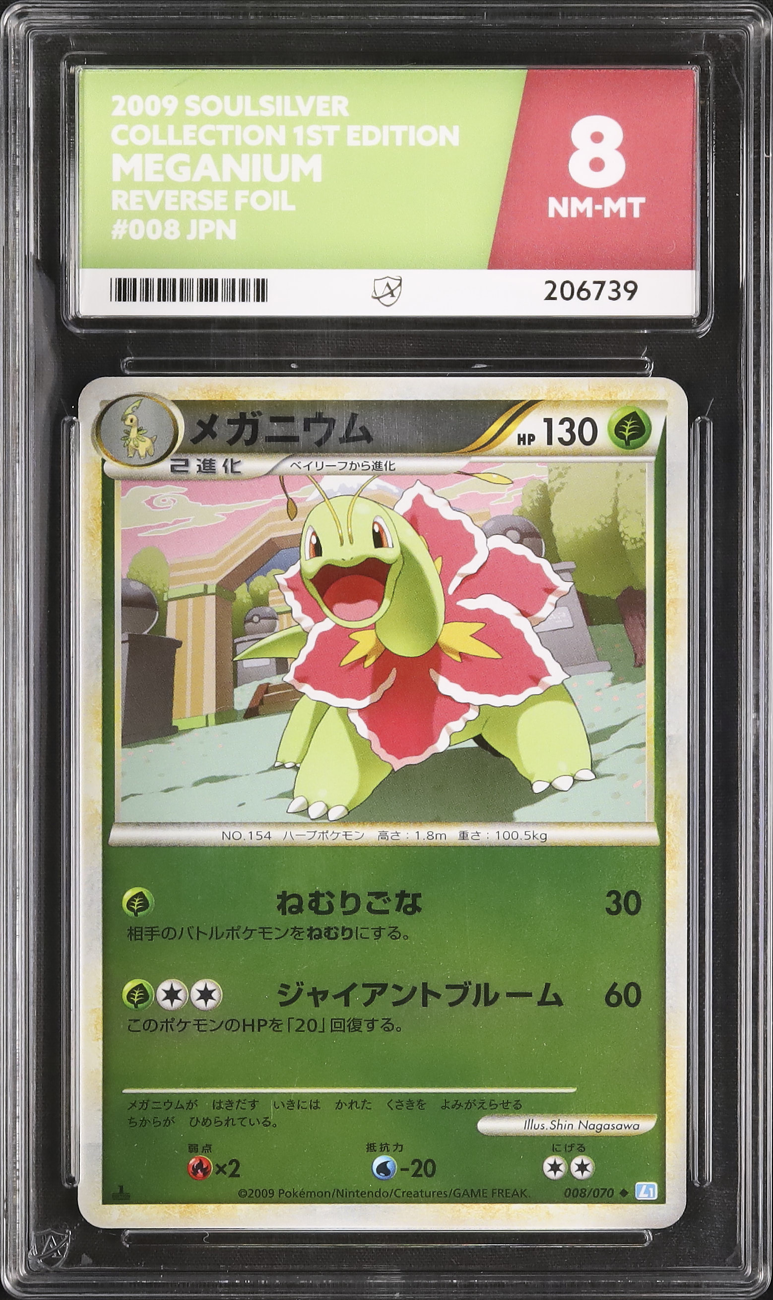 2009 メガニウム その他 8 1st エディション - カルドバ