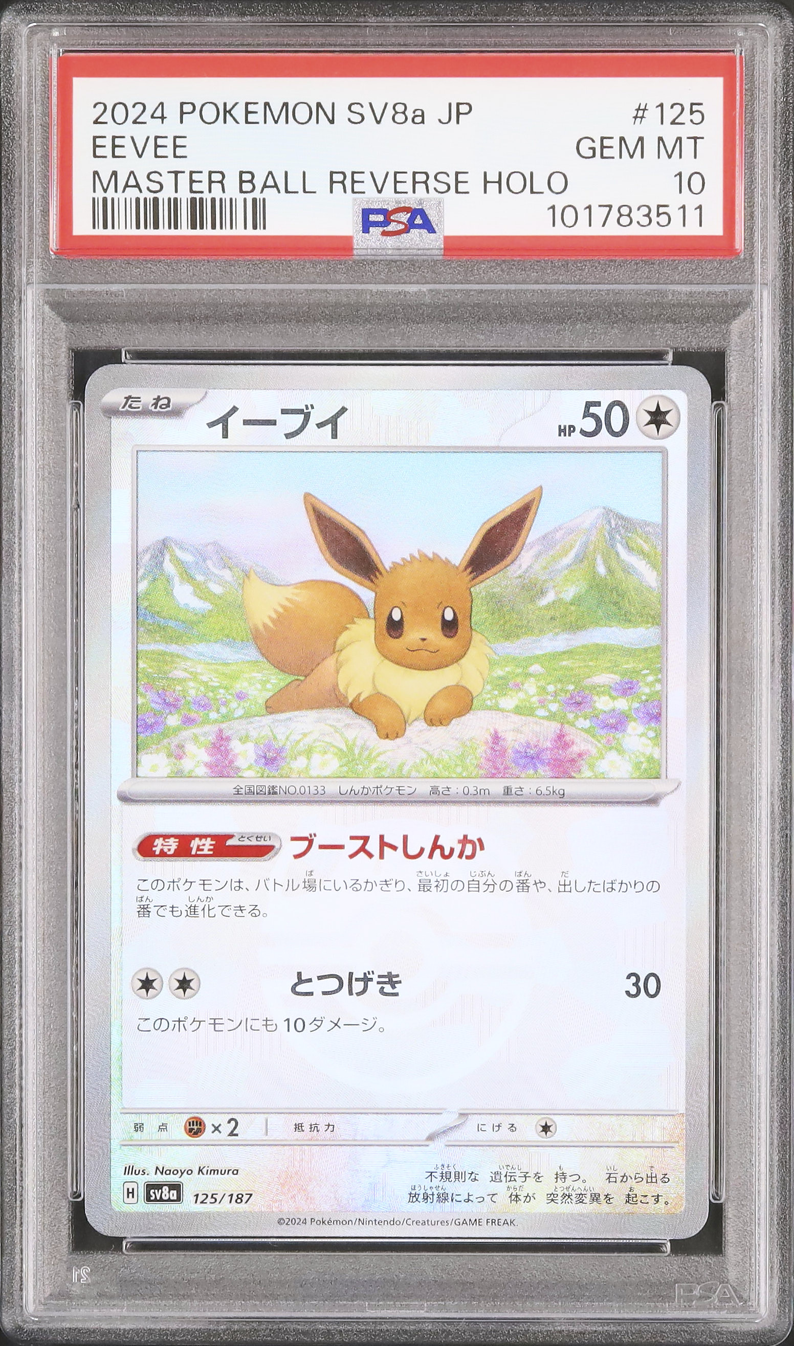 イーブイ マスターボールミラー psa10 【公式通販】